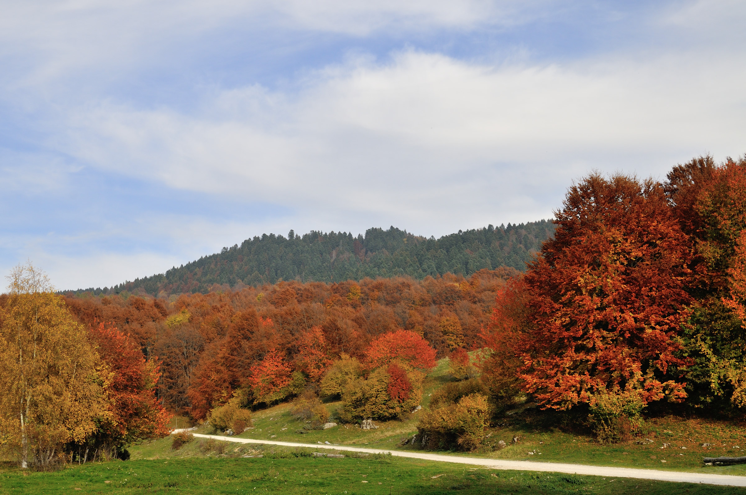 Ultimi colori d'autunno in Lessinia
