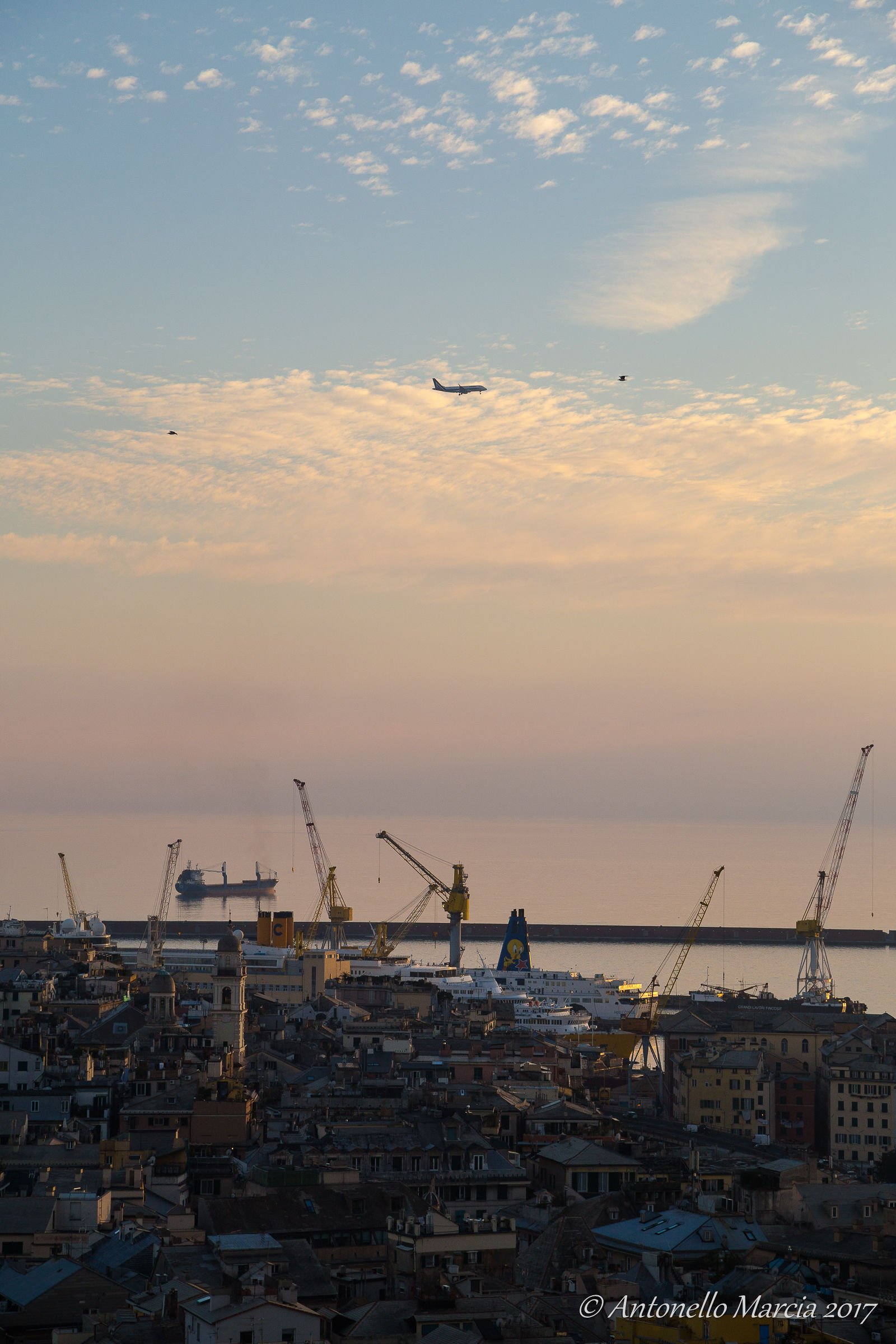 In volo su Genova