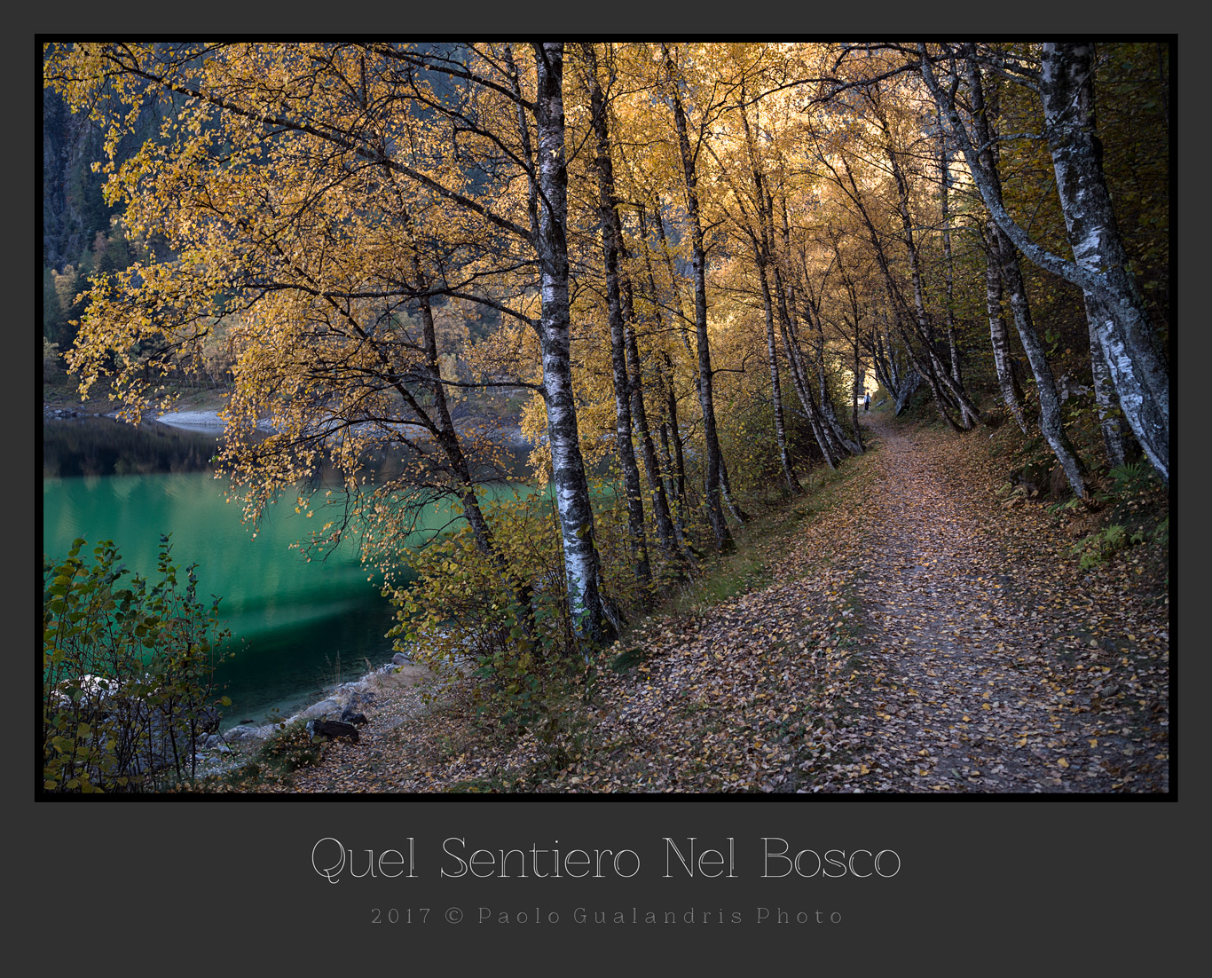 That Path In The Woods