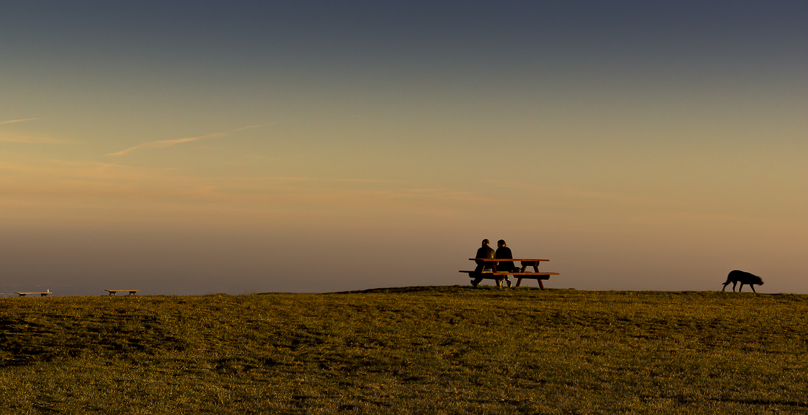 ....scusate il disturbo....