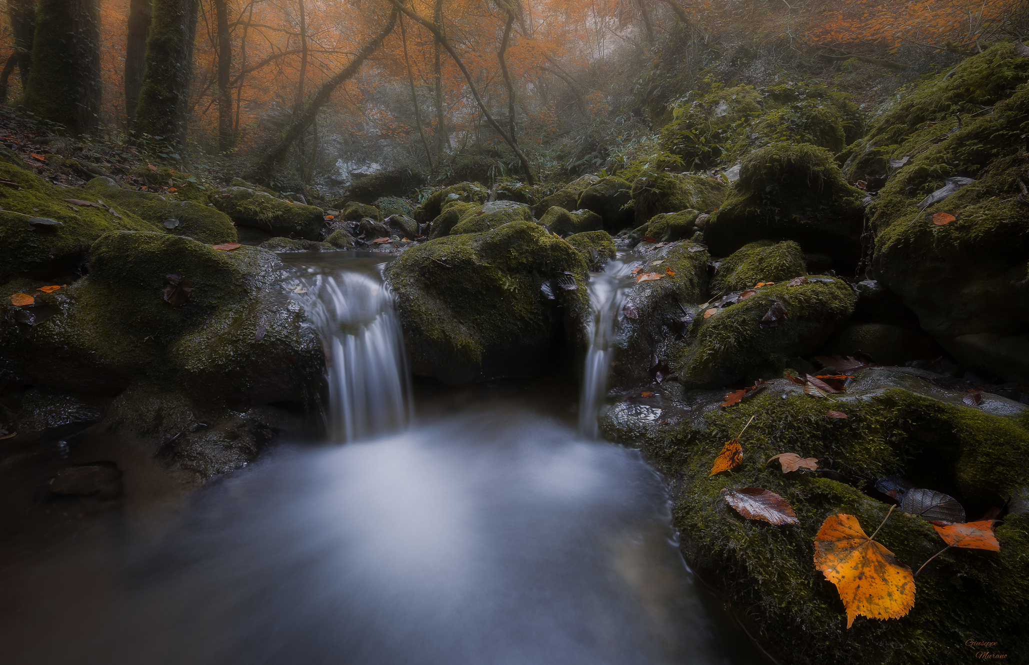 Autumn Atmosphere ..