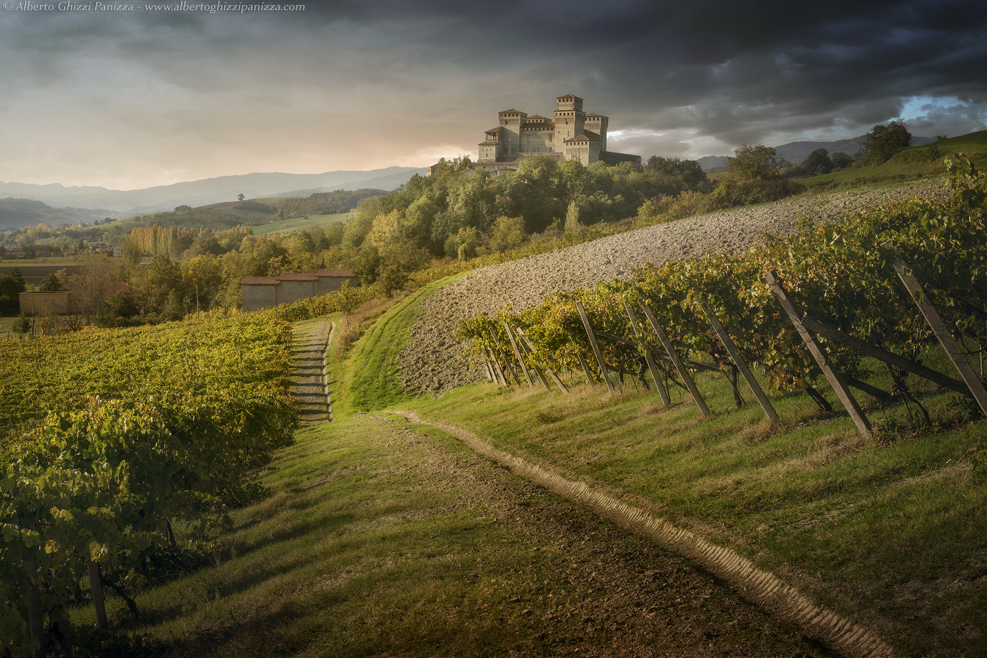 Nella vigna del castello