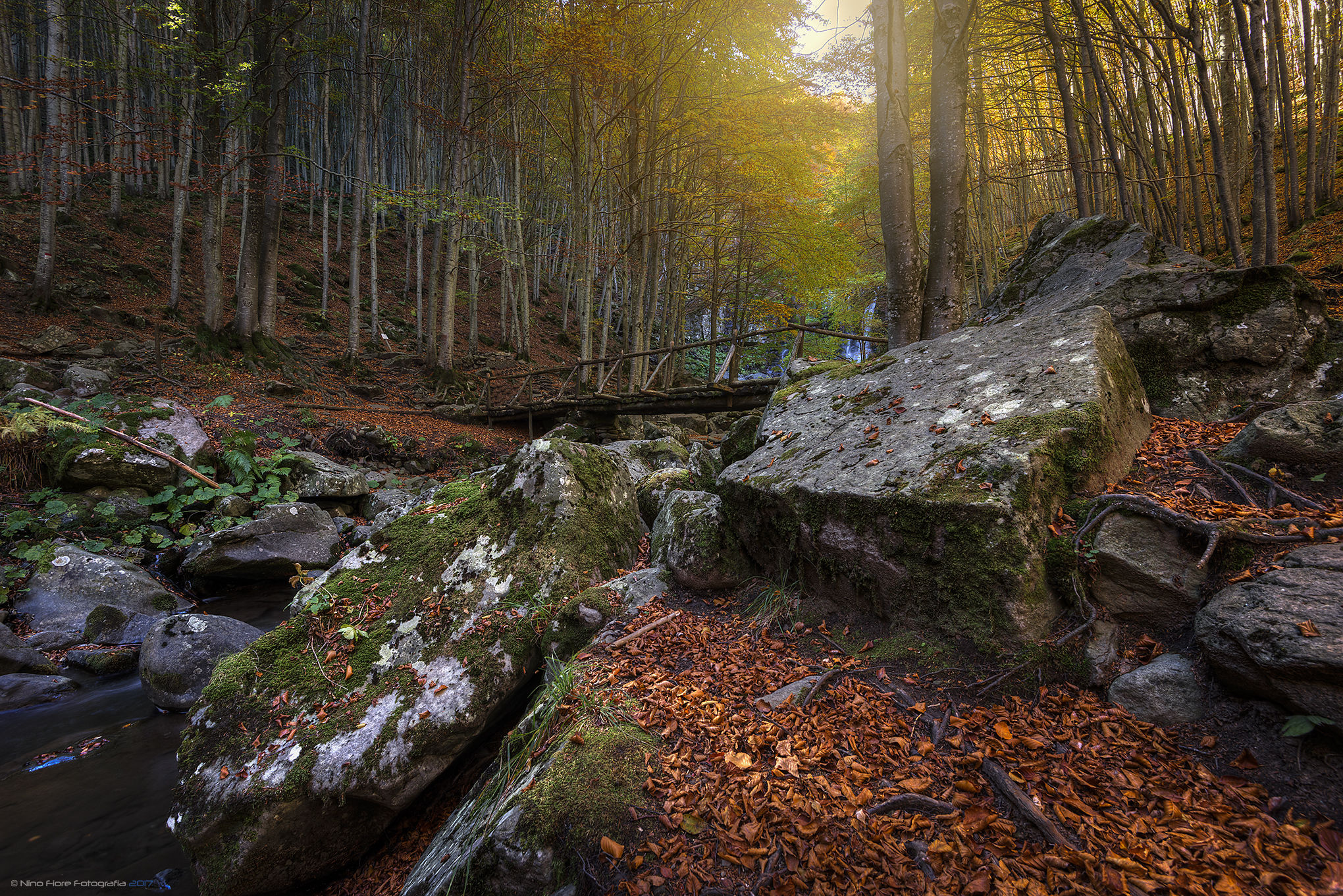 © Dardagna Falls Italy