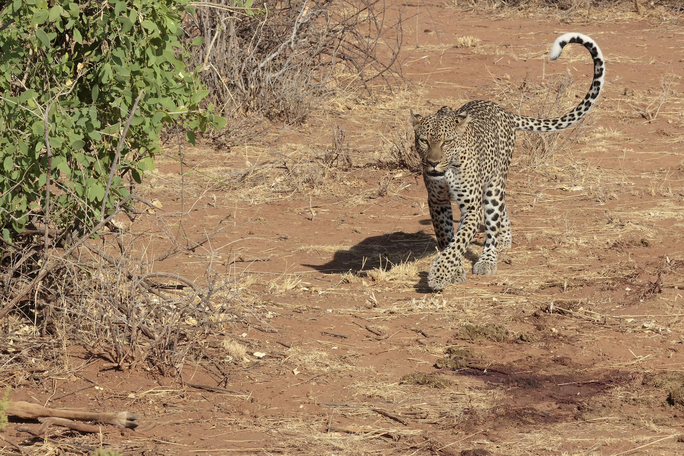 Below there is something