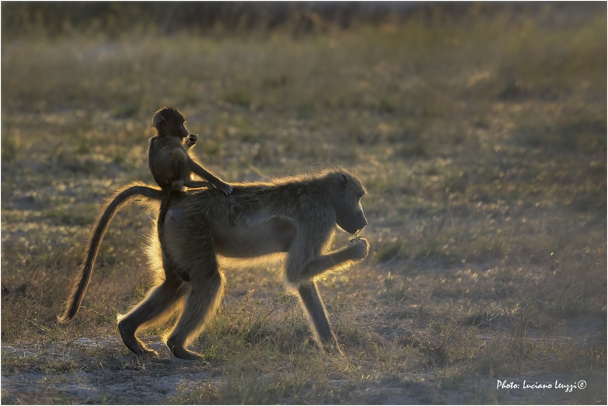 Mamma & Figlio a colazione