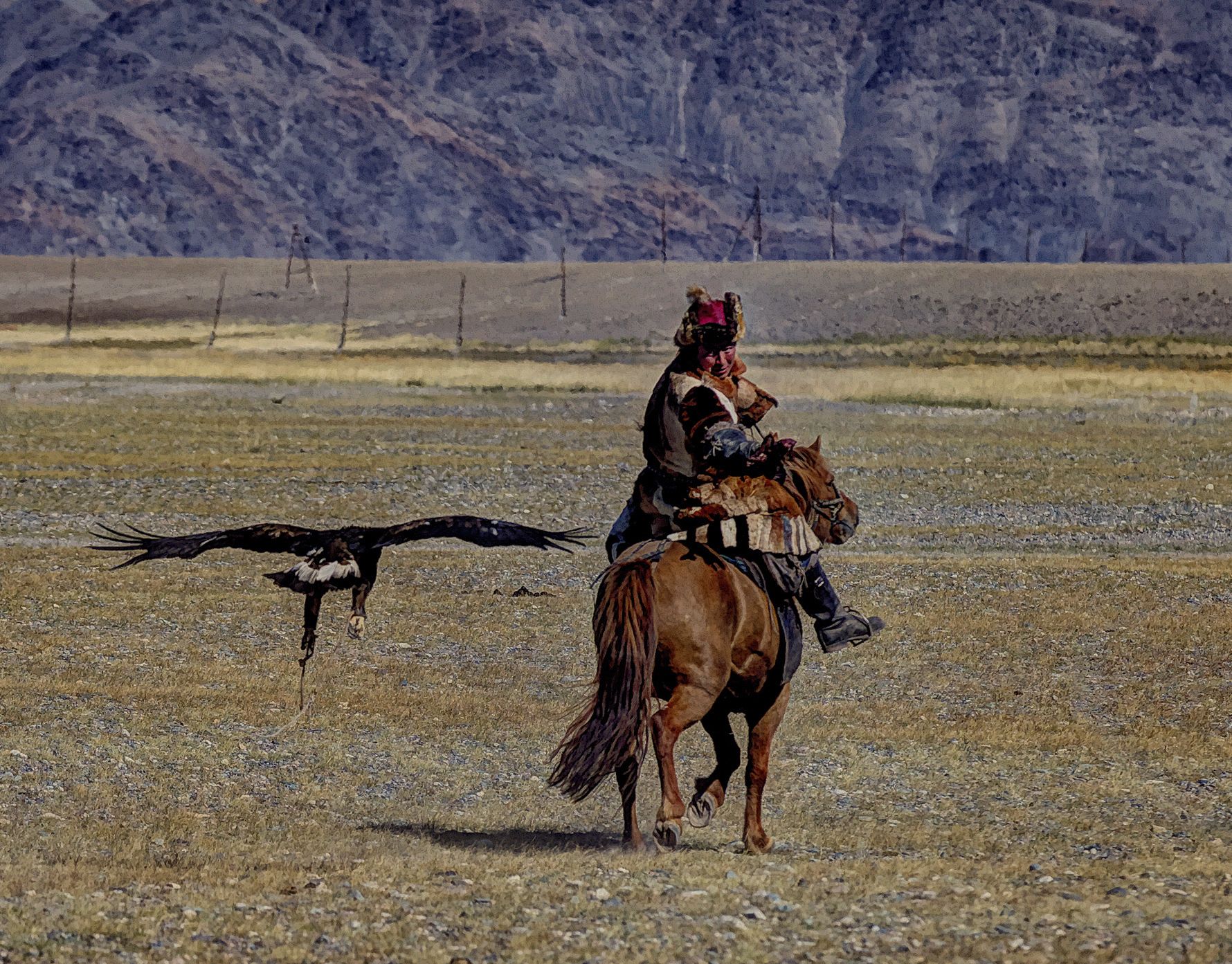 The eagle reaches the hunter ..