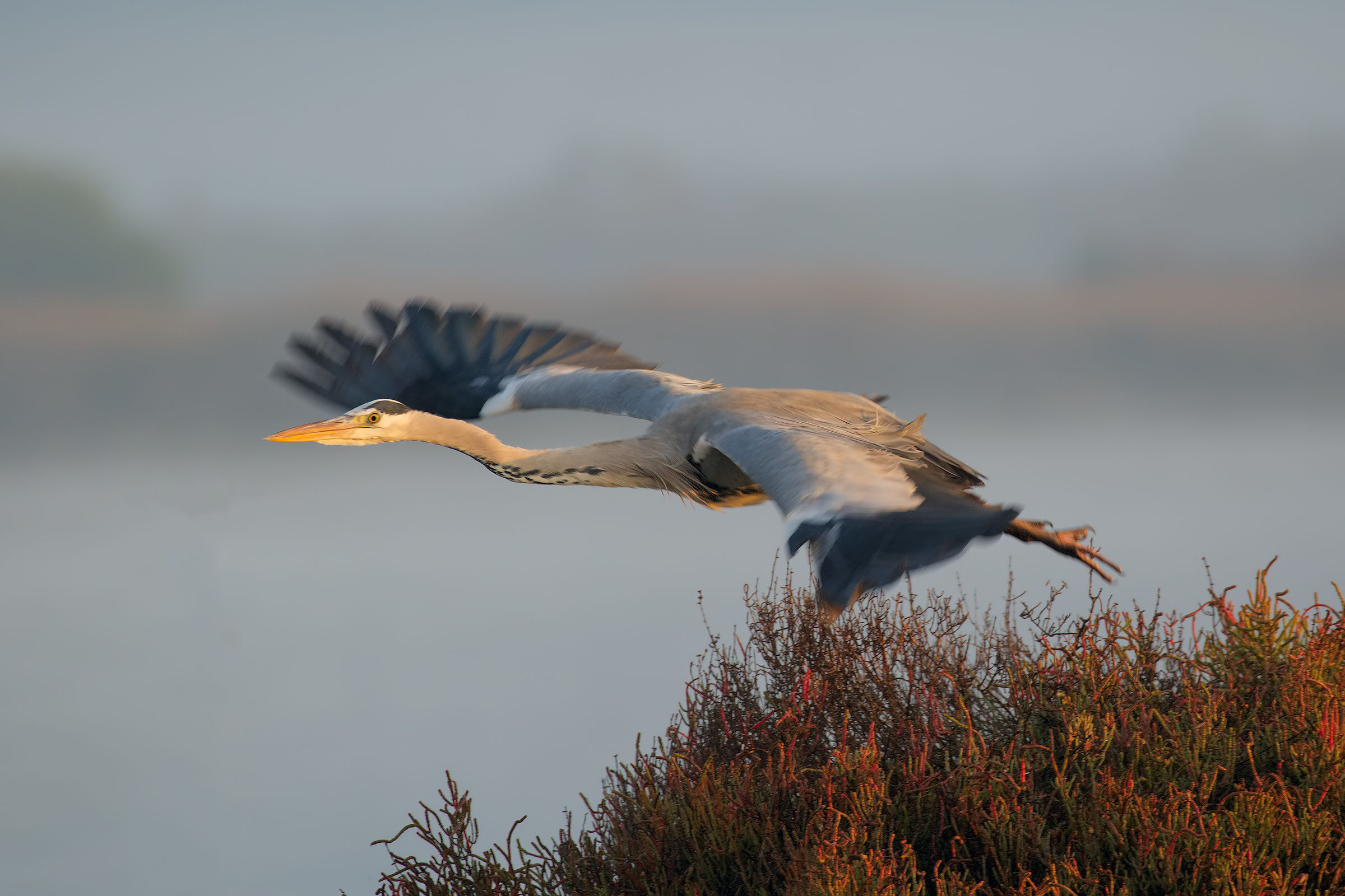 Departing for breakfast