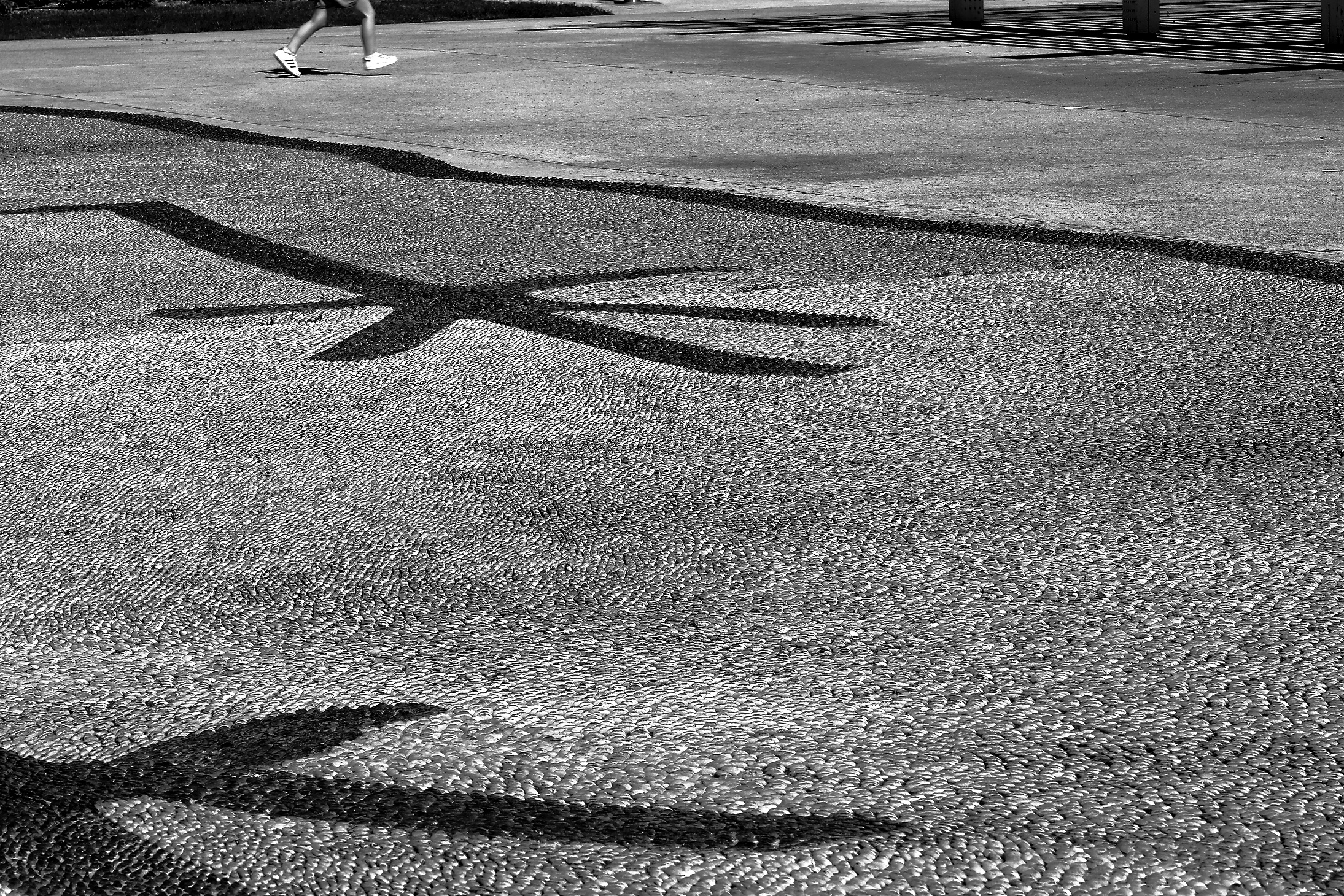 Girl Legs and Lizard Claws