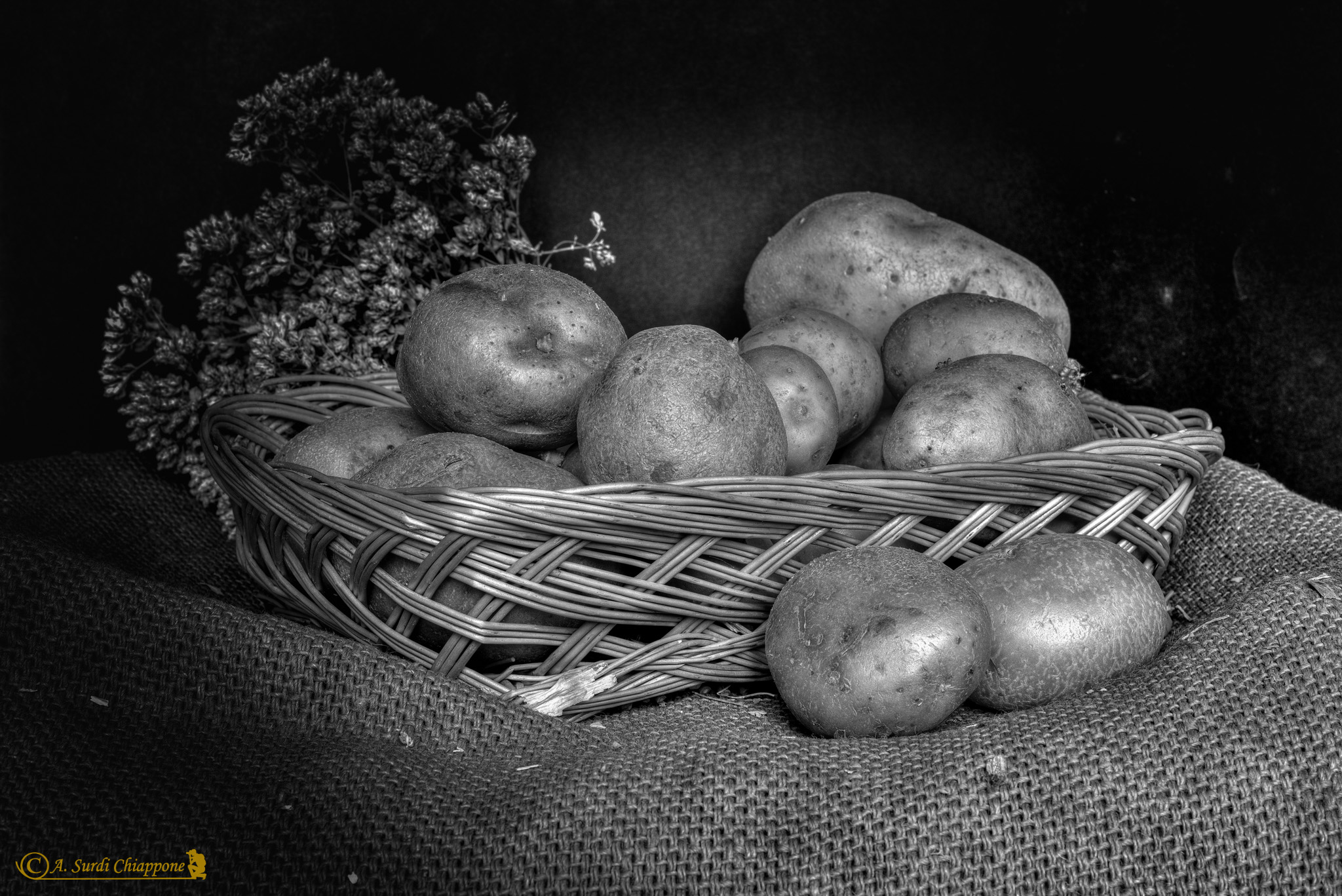 Still Life Black & White