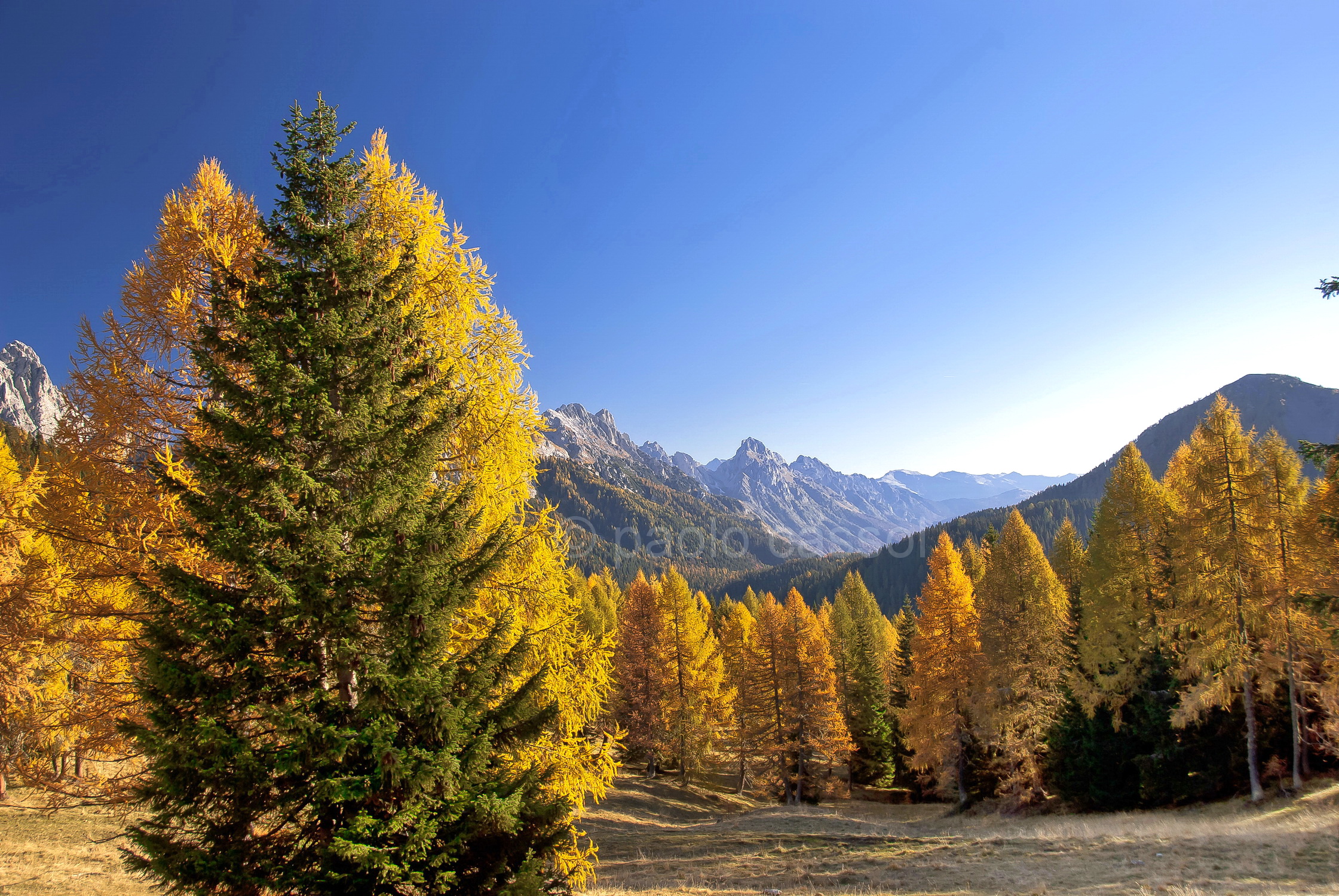 autumn on the plateau of Casera Razzo (bl)