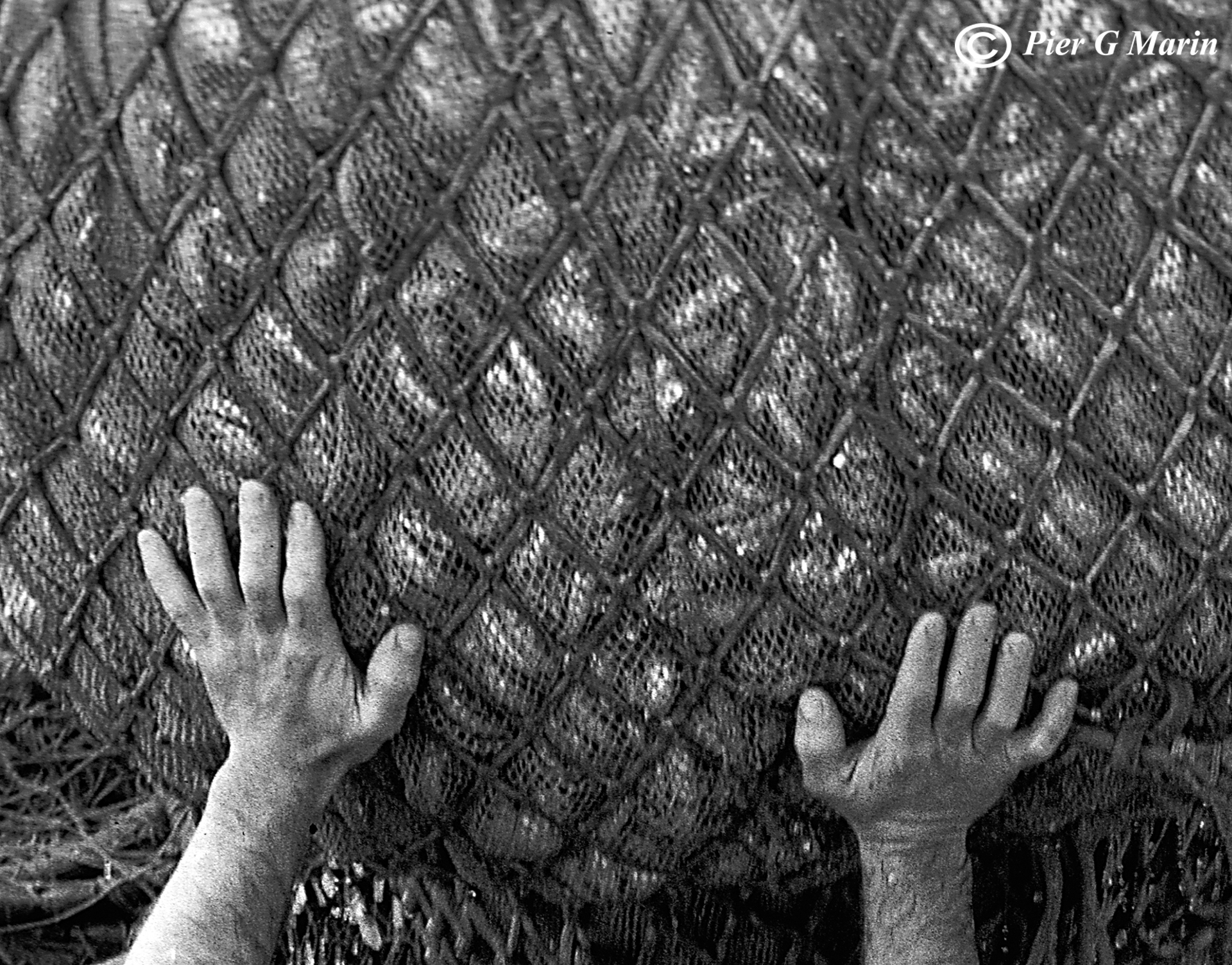 Una Giornata di Pesca_17