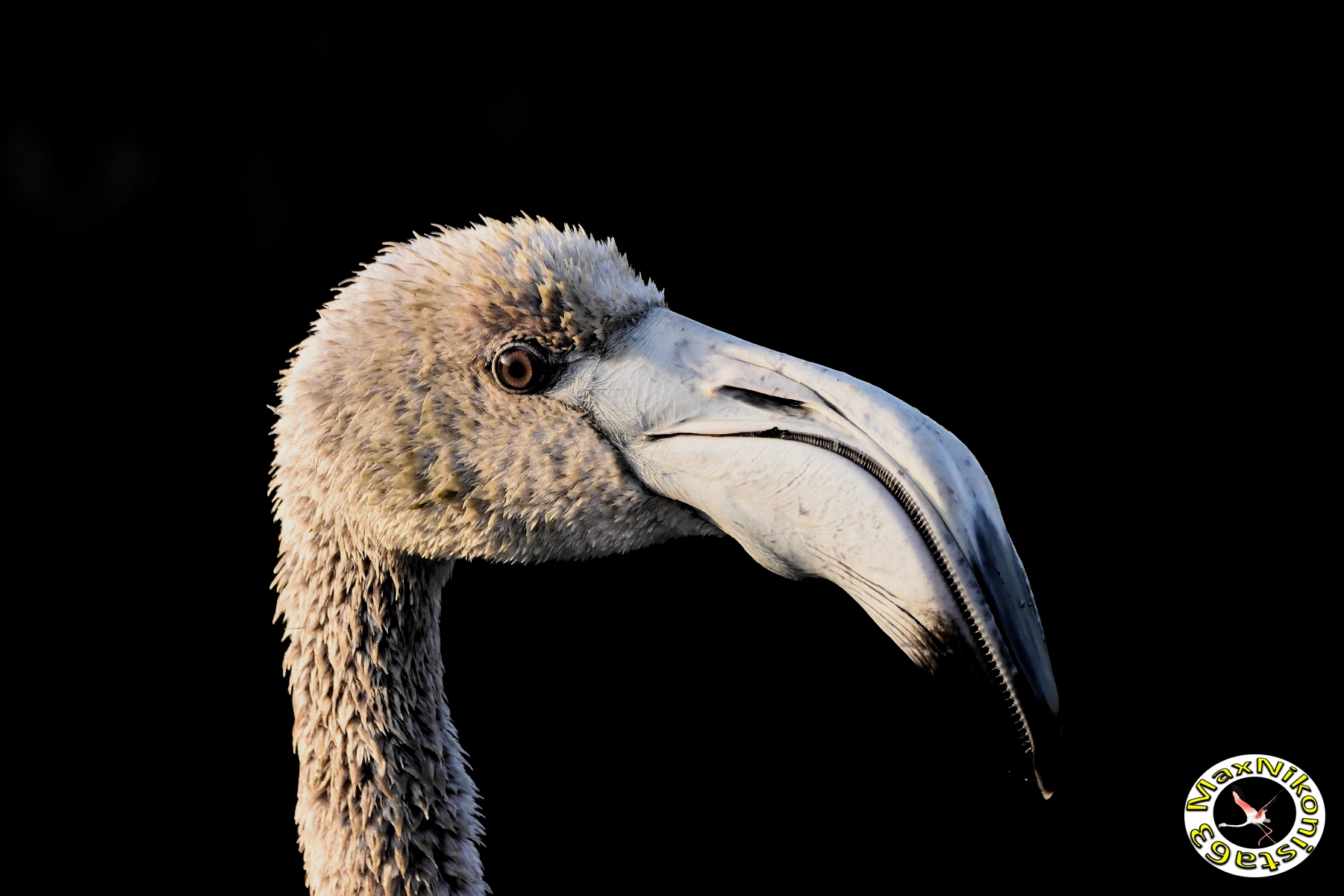 Even profiles are not bad