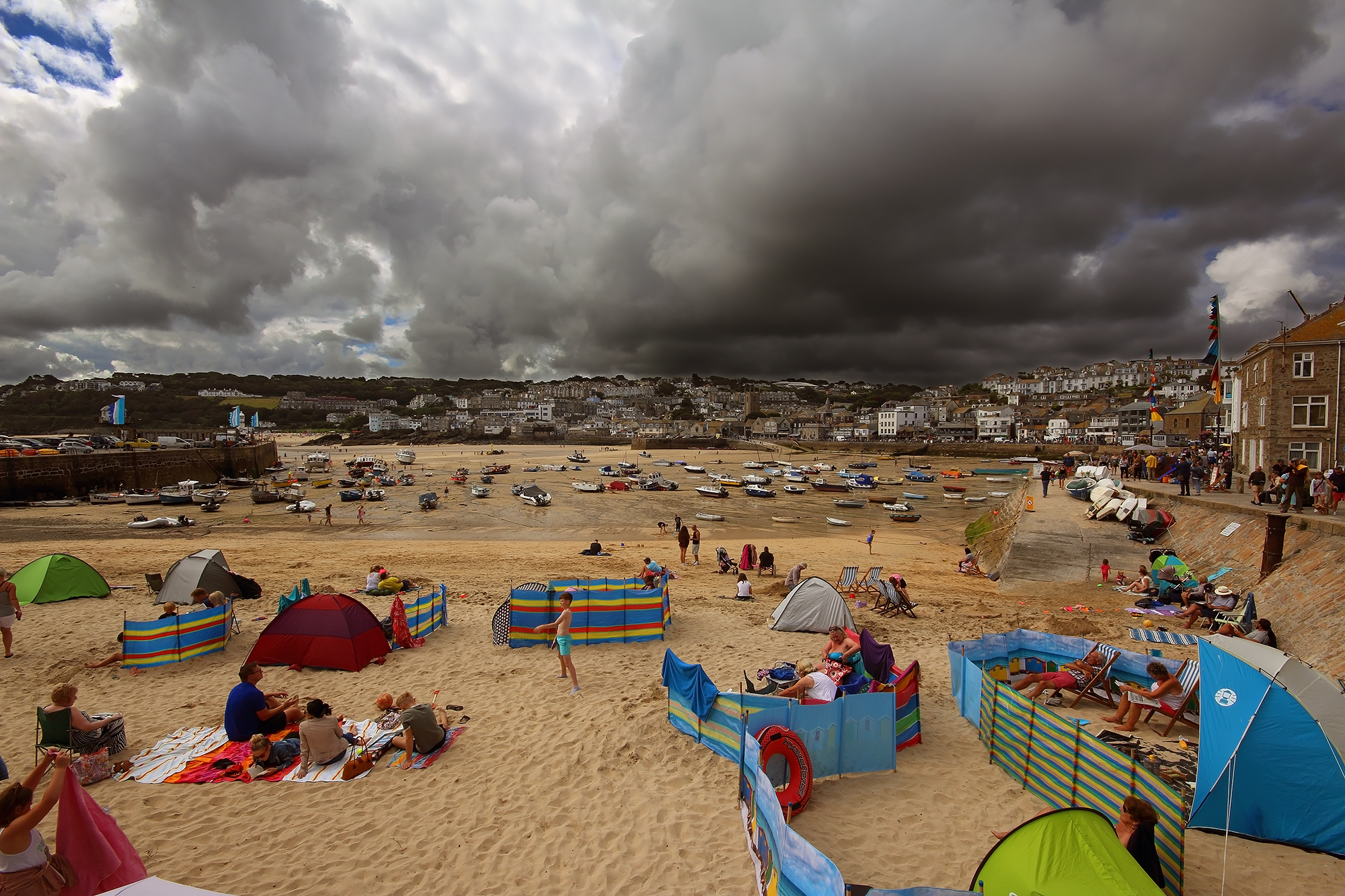 Sea life in St. Ives