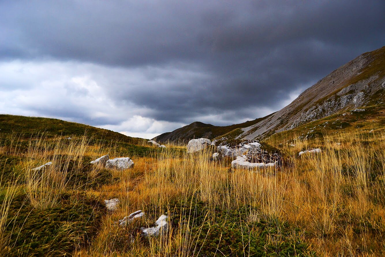 The curves of nature