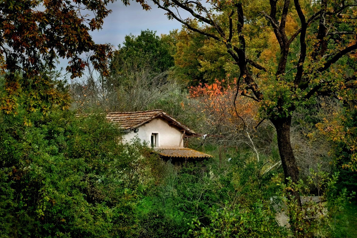 La casa nel bosco