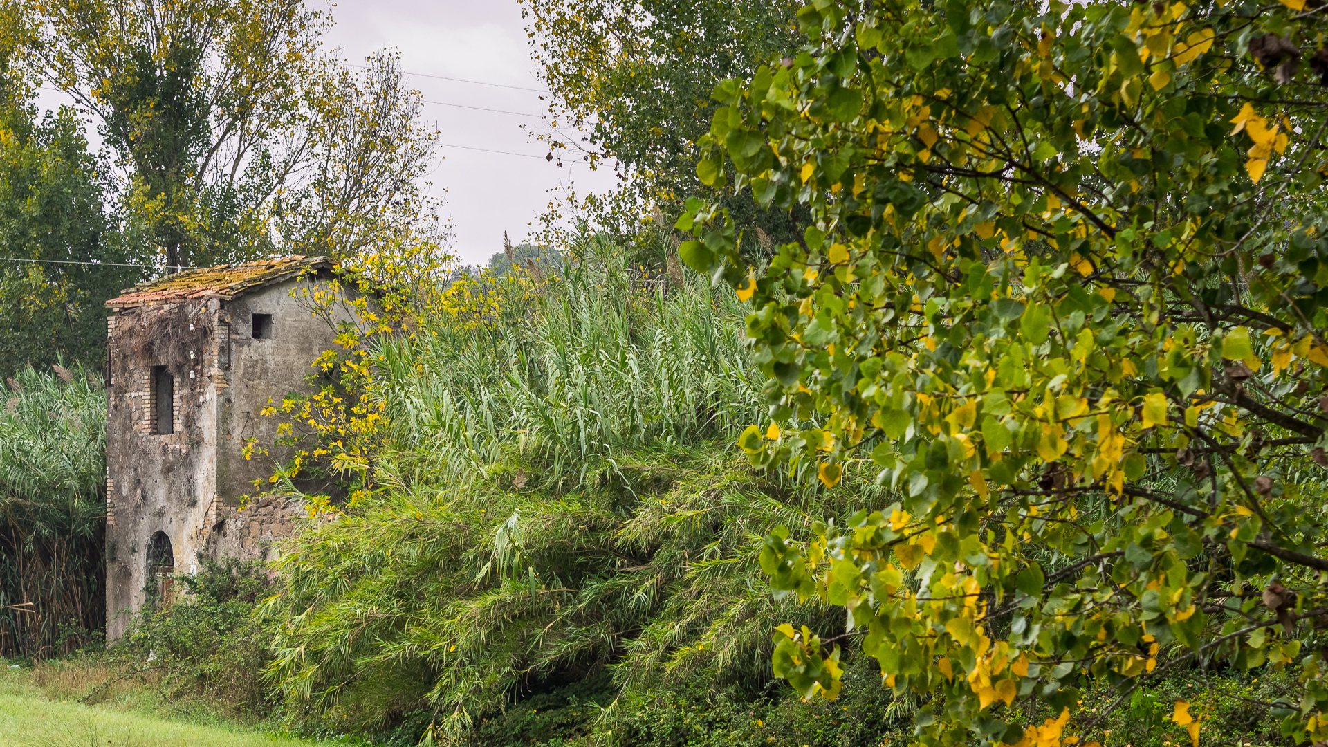 Rudere di periferia (Roma)