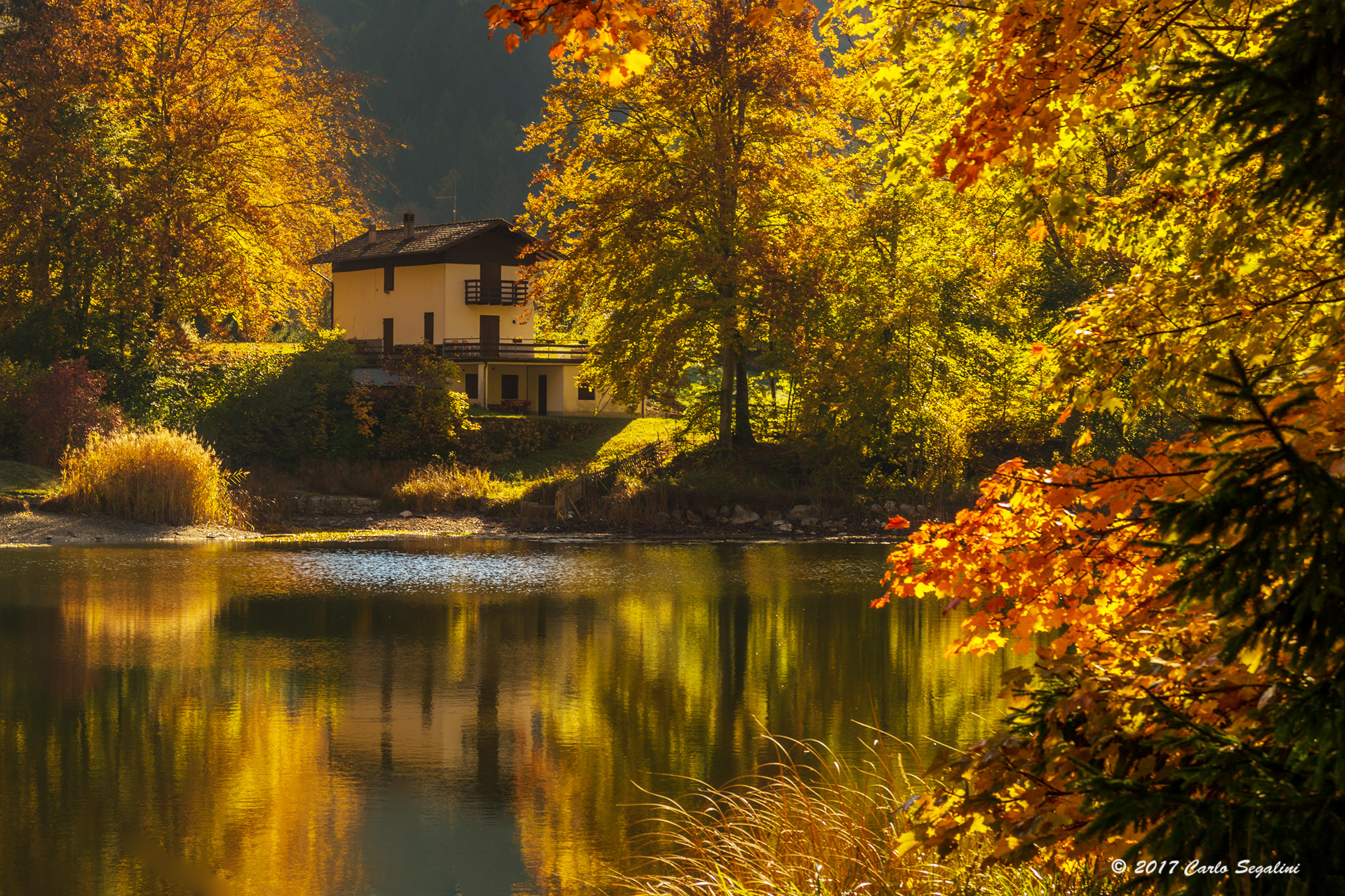 The house on the lake