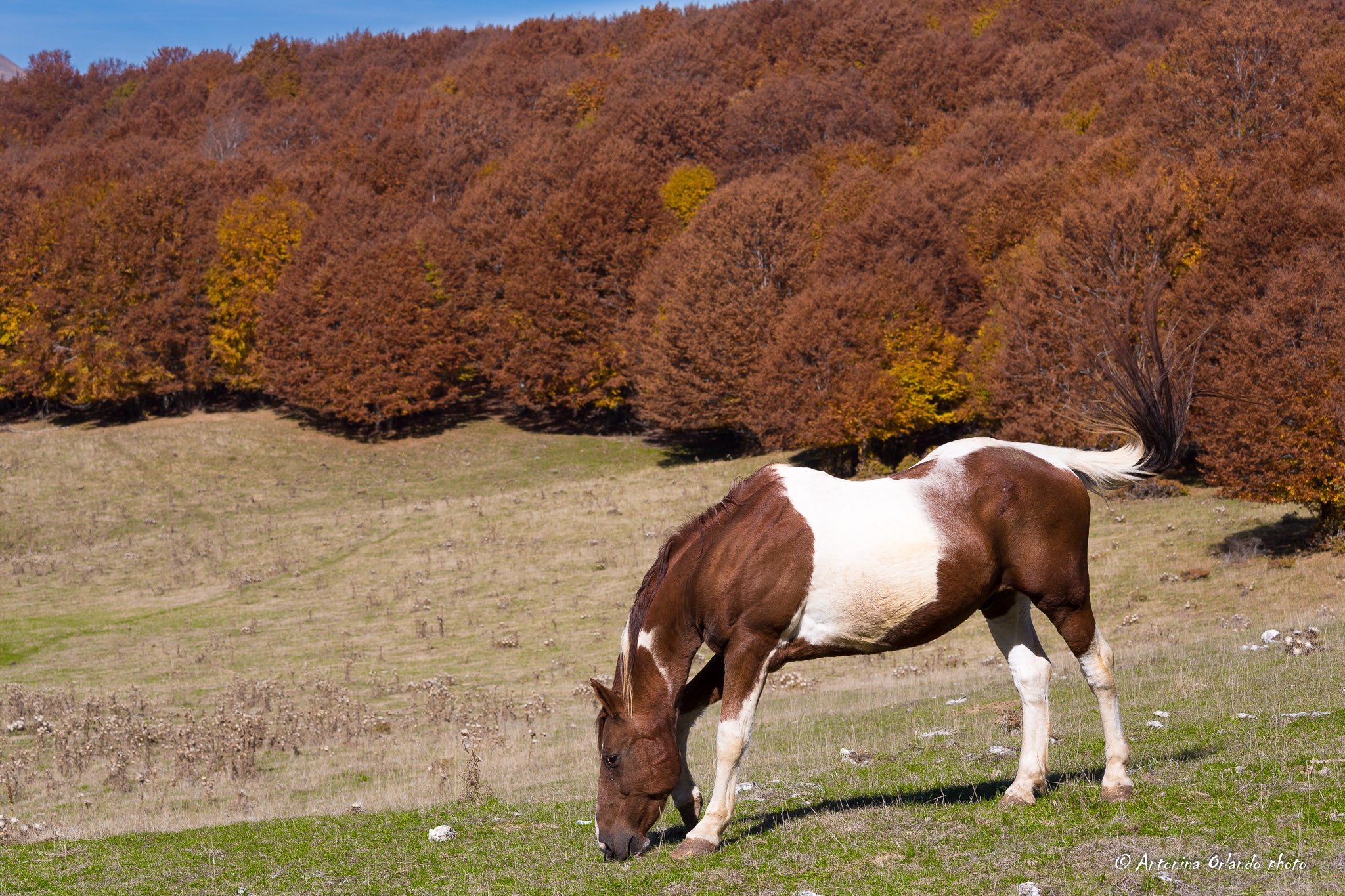 Pranzo con vista sull'autunno !!!