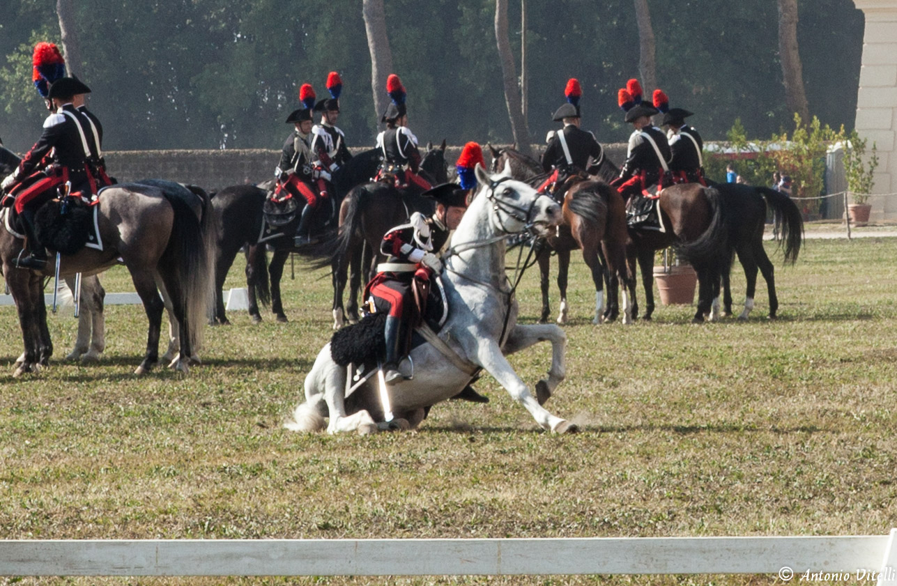 Event Palace of Carditello (ce)