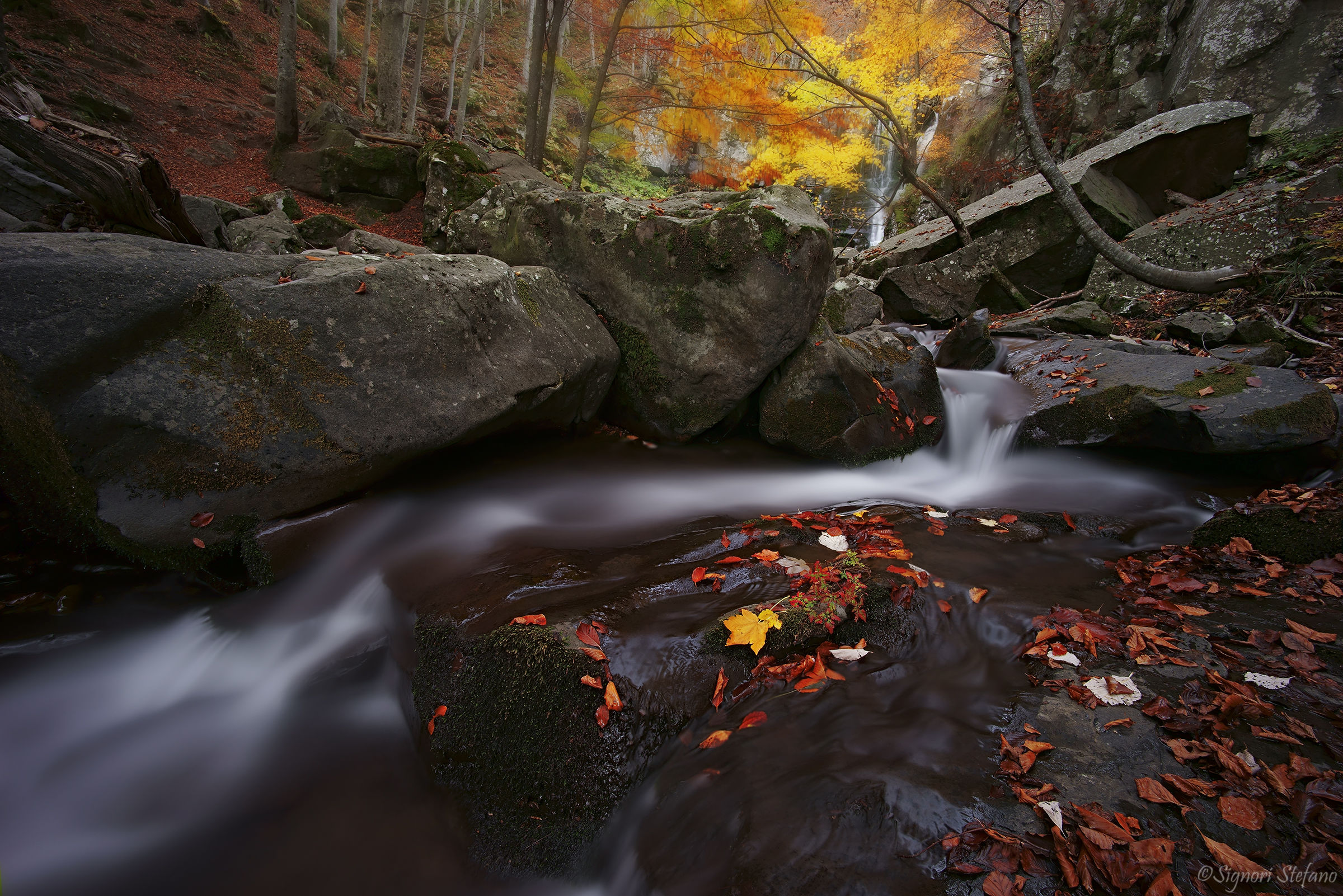 Foliage 2017 - seconda uscita