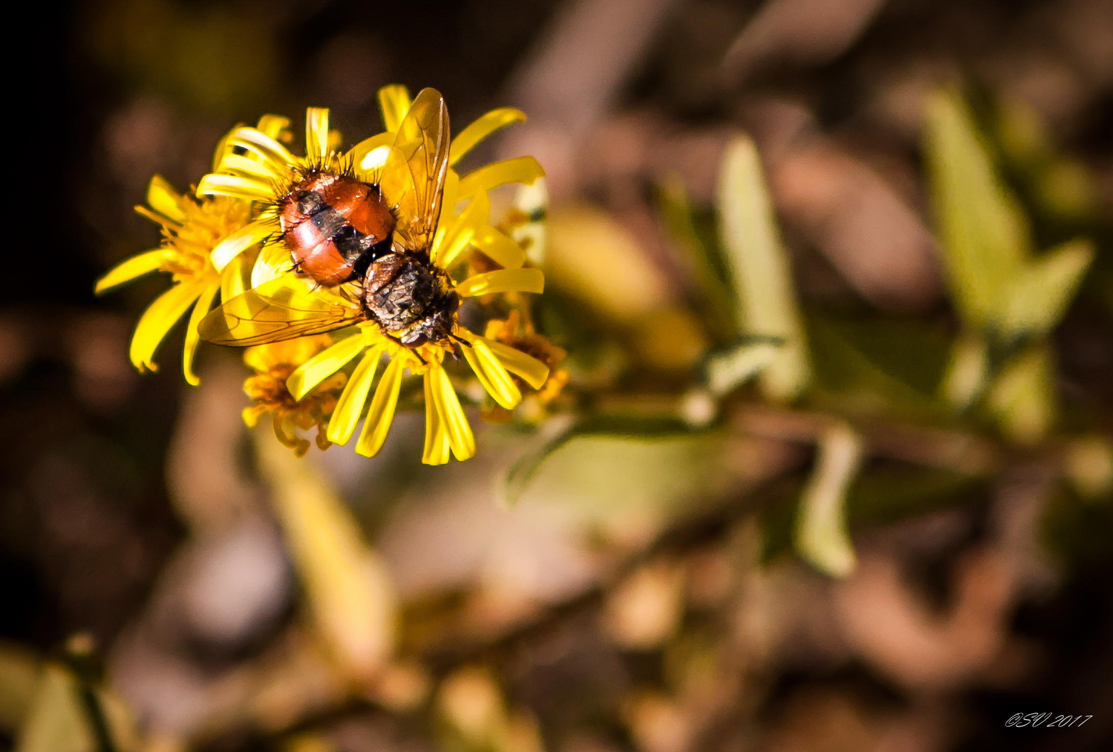 O fai in fretta...o me ne vado