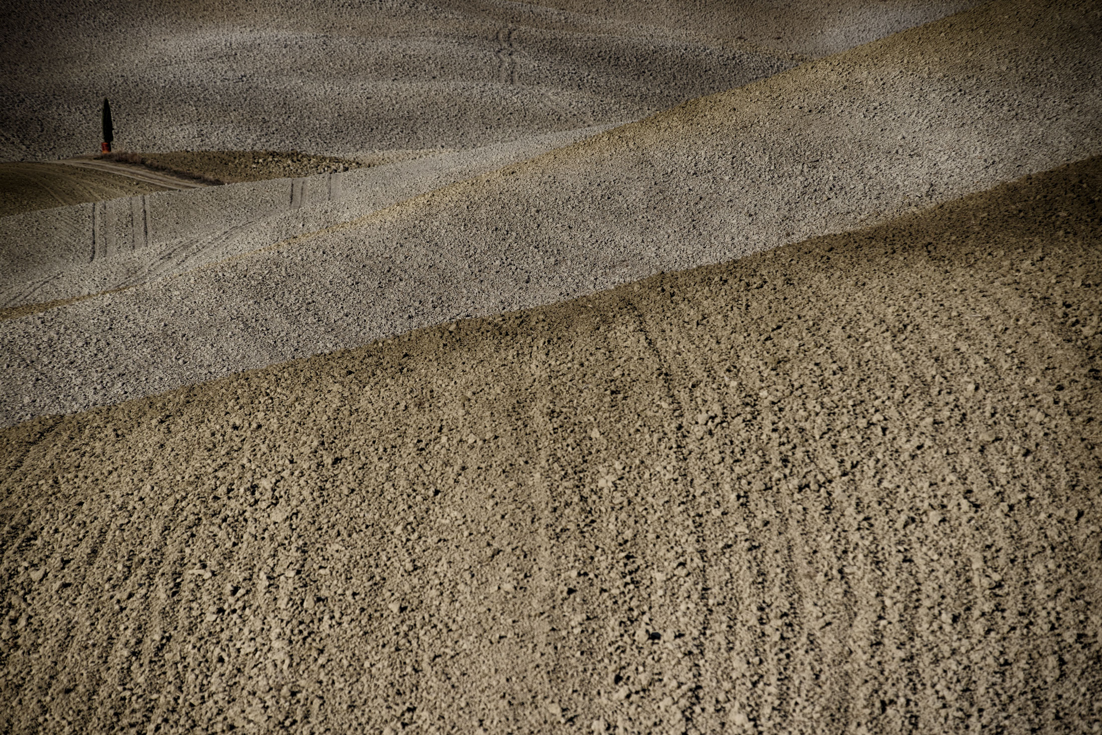 Feathers of the Sienese Crete