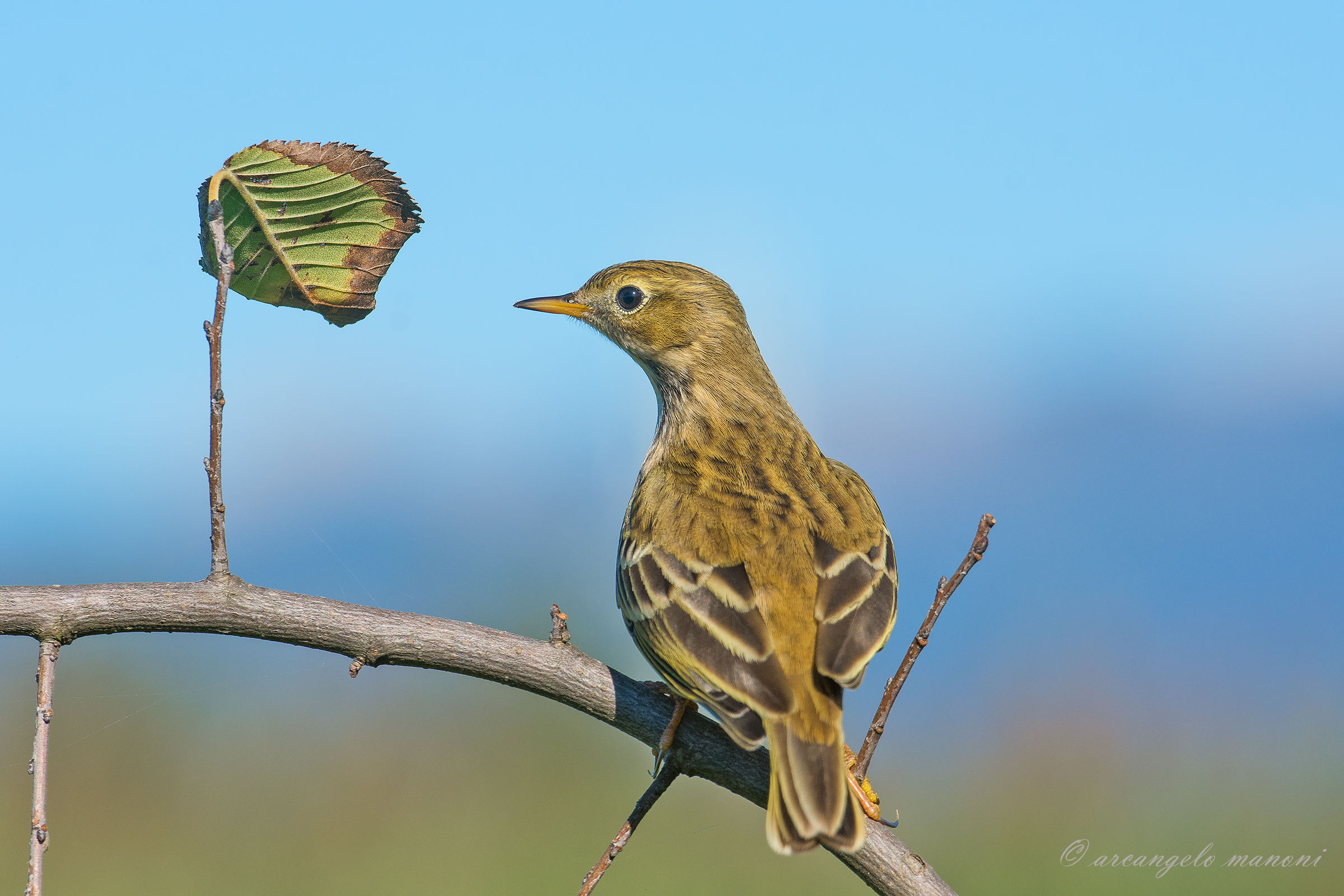 Take a look at the past before continuing to migrate