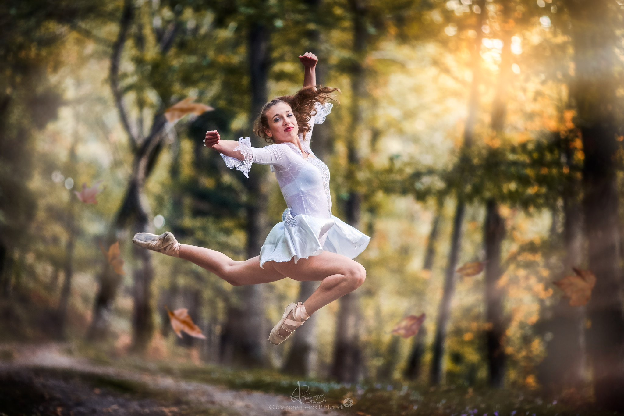 The Trinity of the Woods