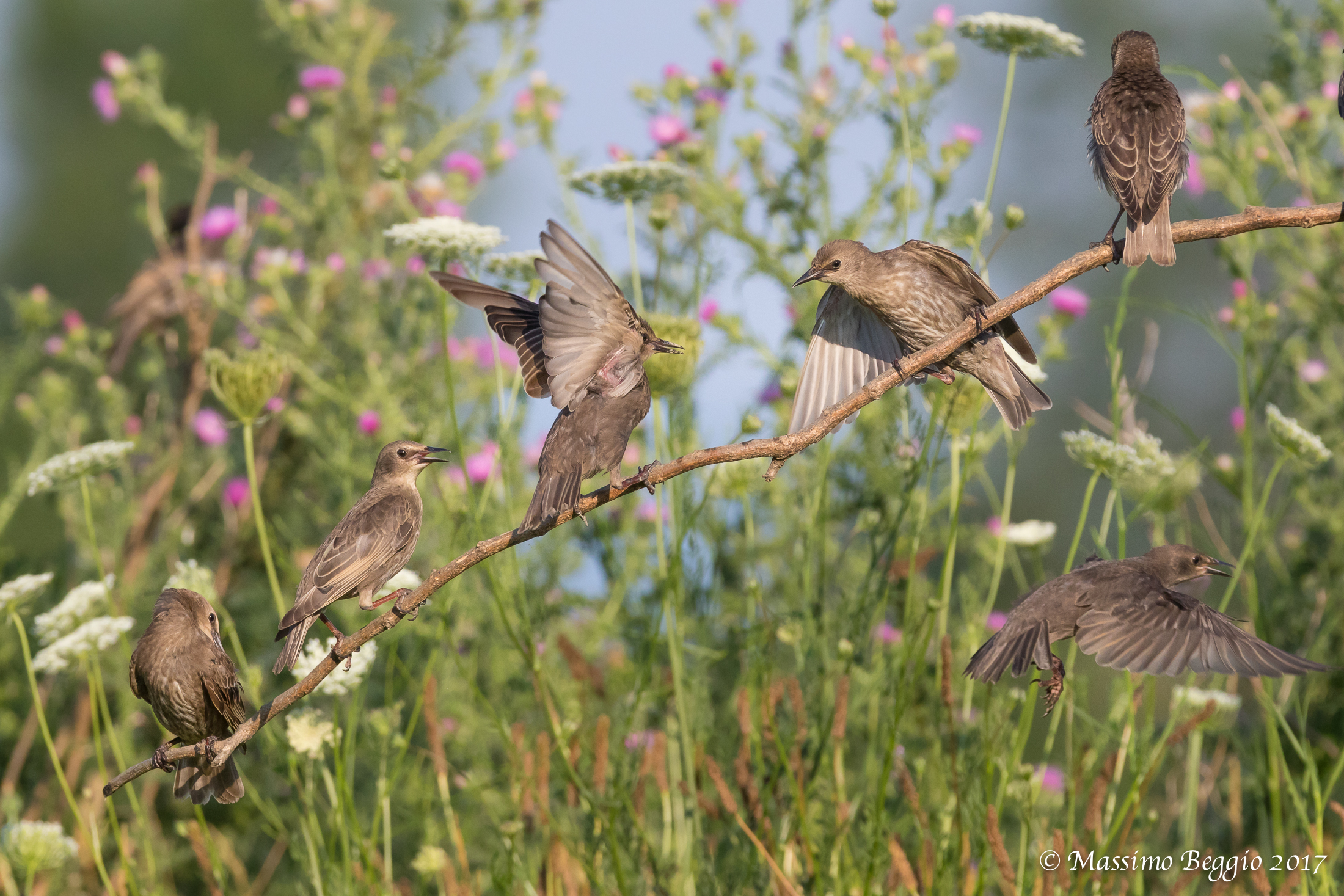 all together passionately!