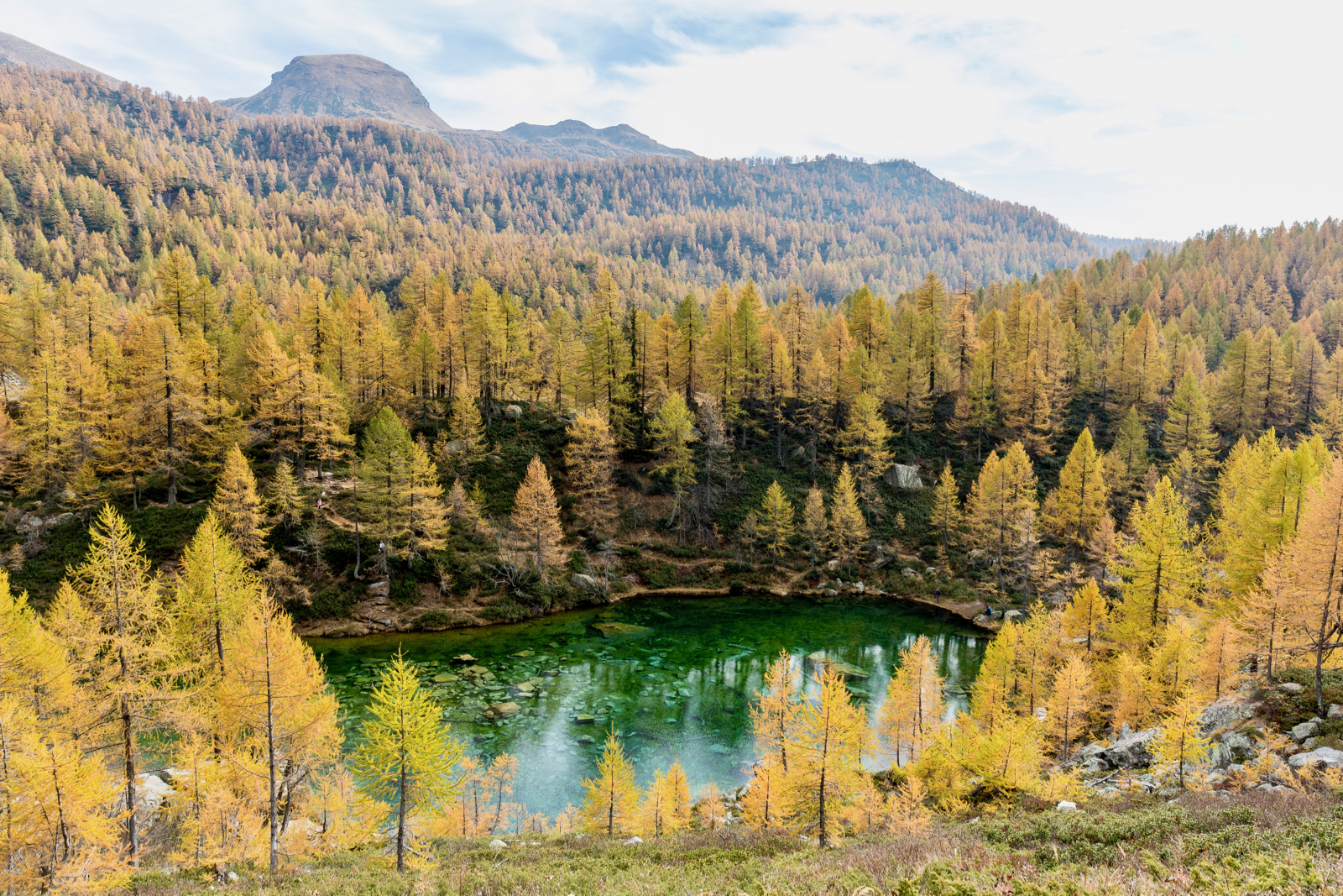 But where are the witches?