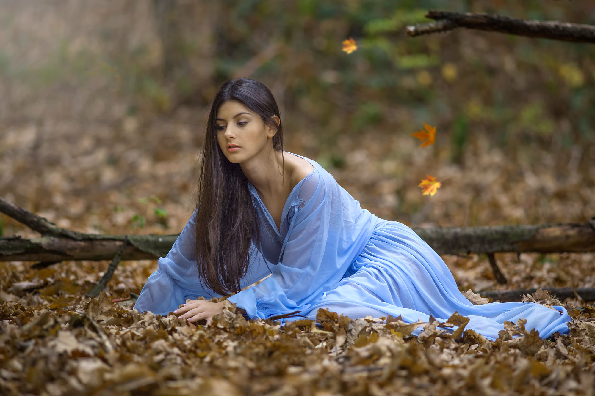 Blue fairy in the enchanted woods