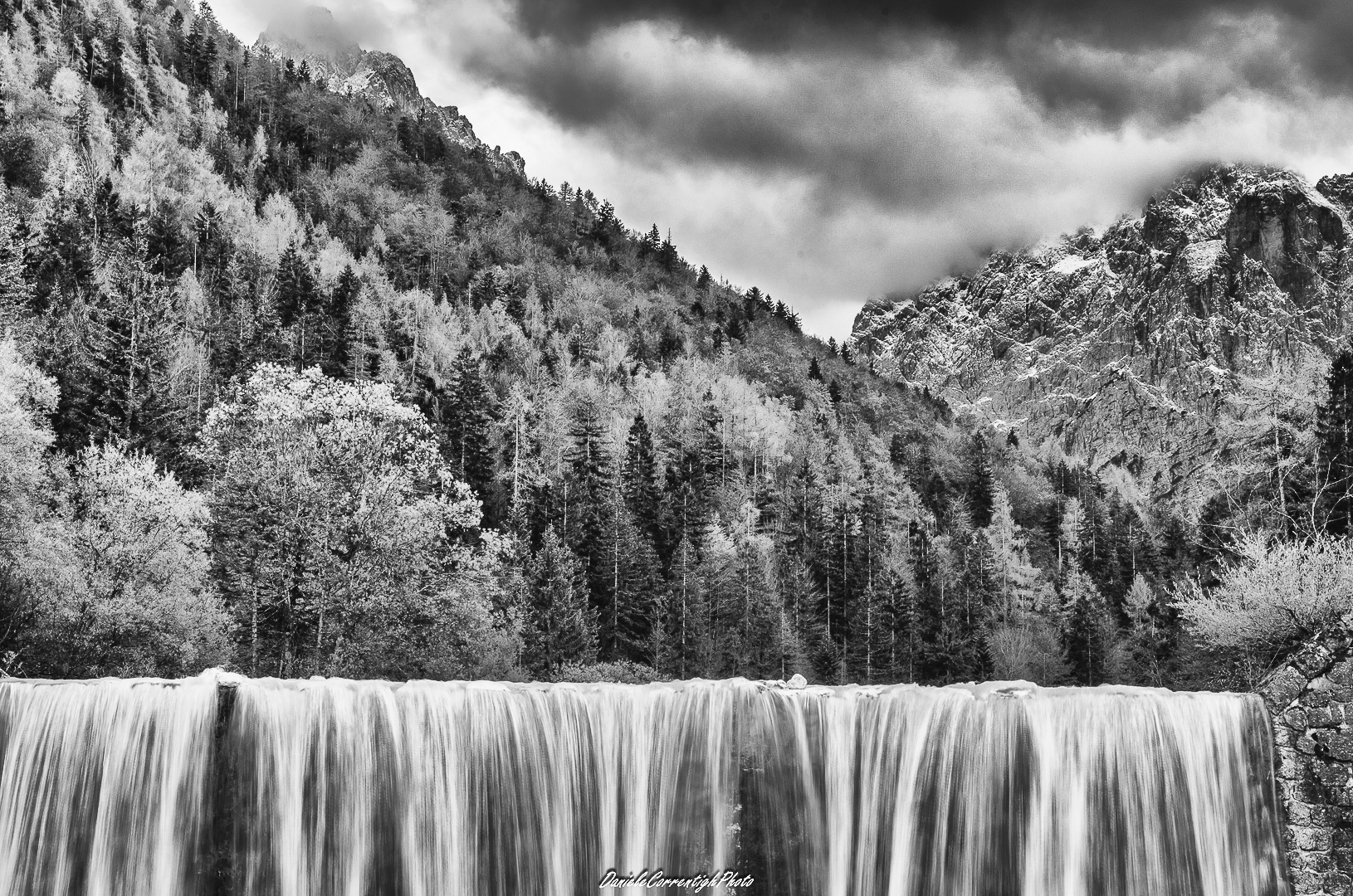 Inverno a Kranisca Gora in B&W