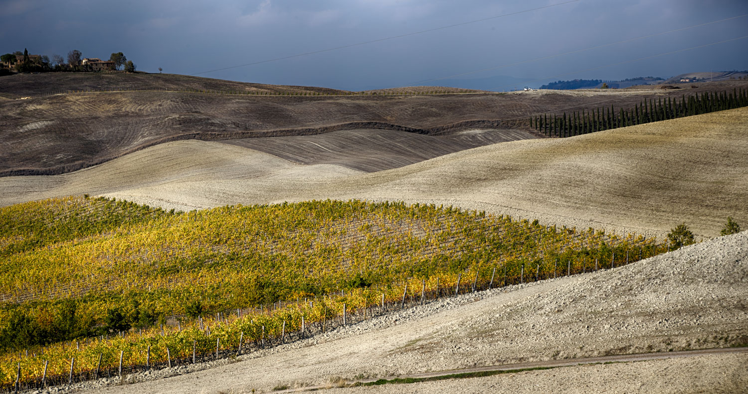 Crete senesi