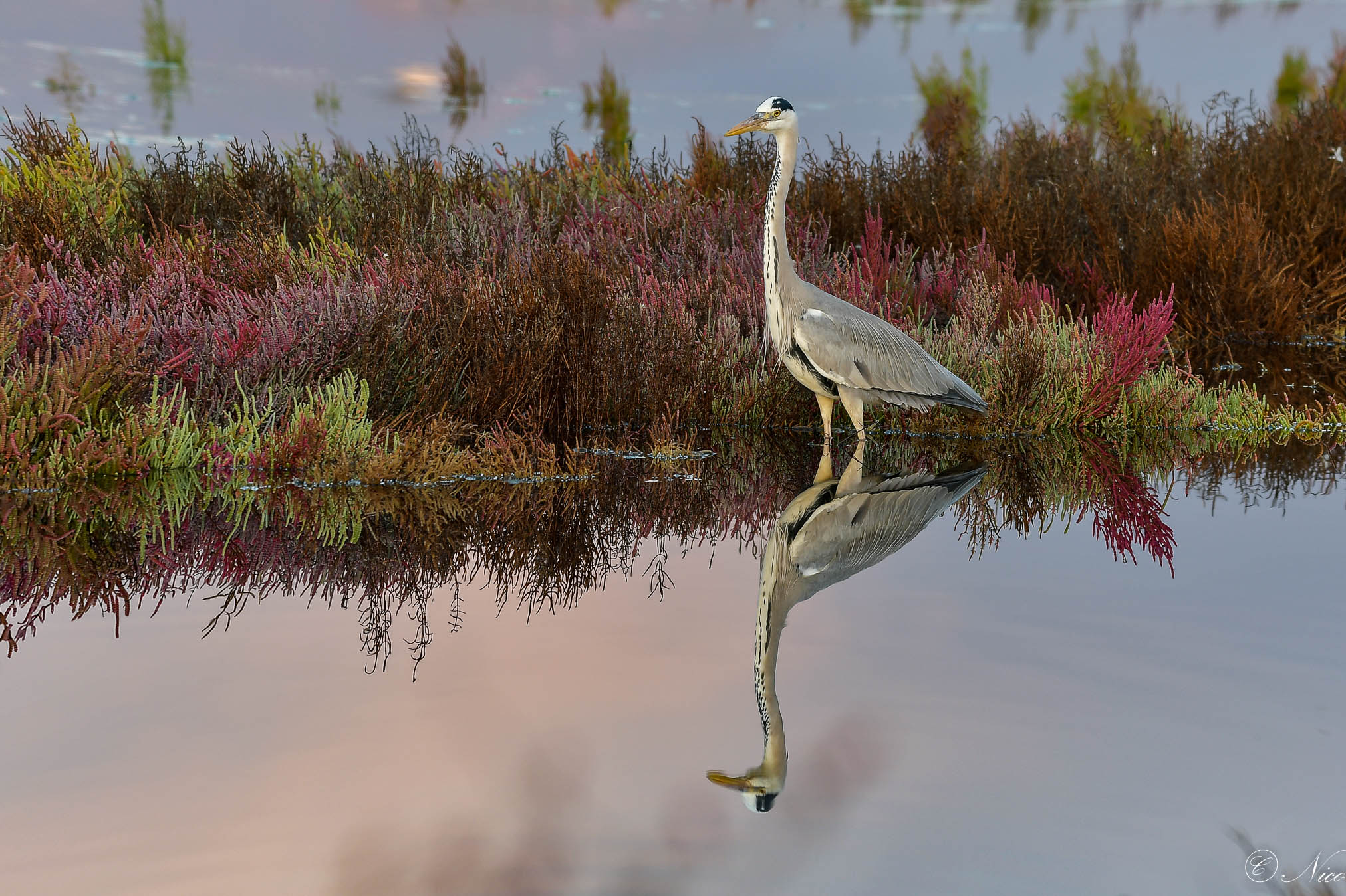 Wrong camera settings you pay ... m