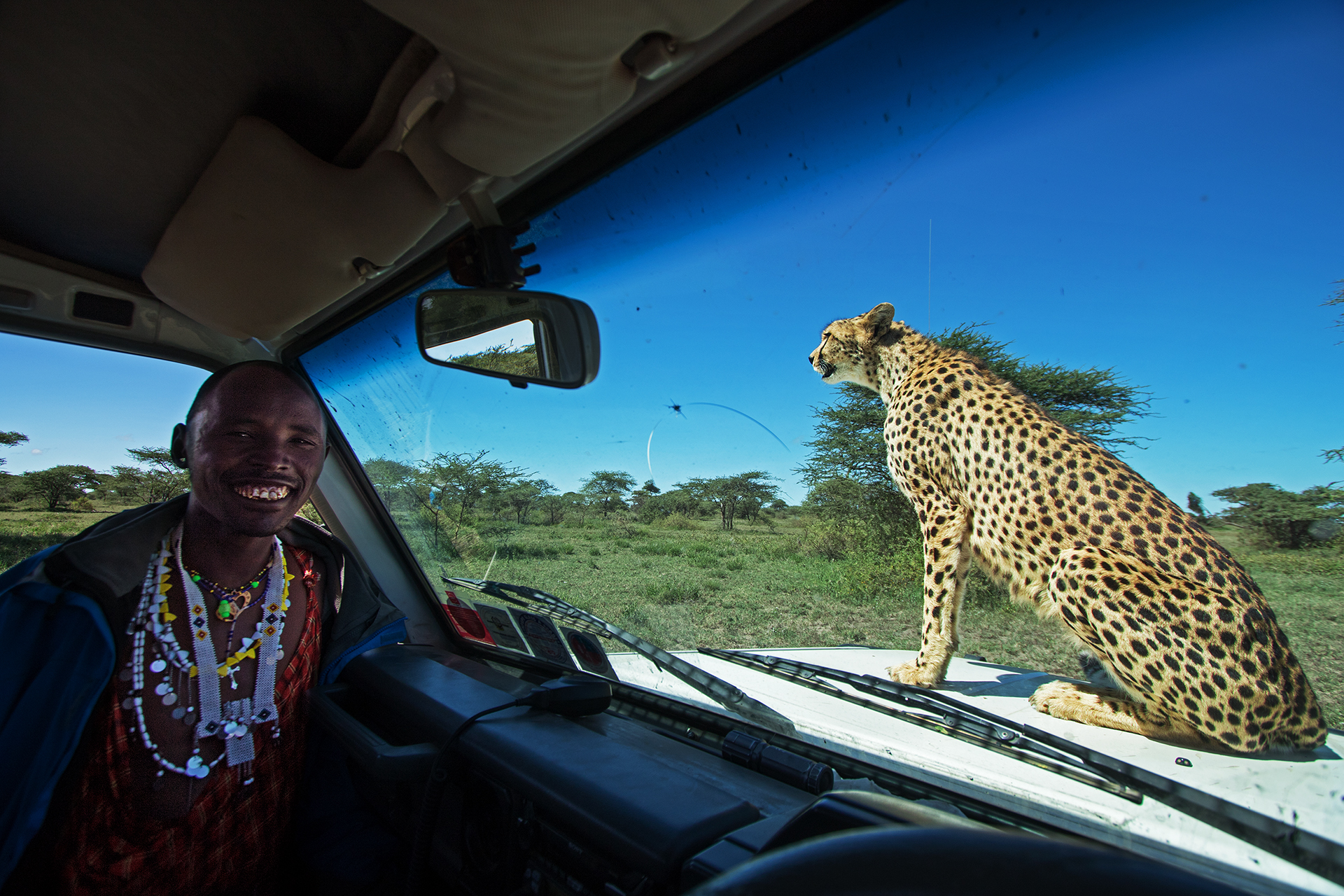 Gli diamo un passaggio?