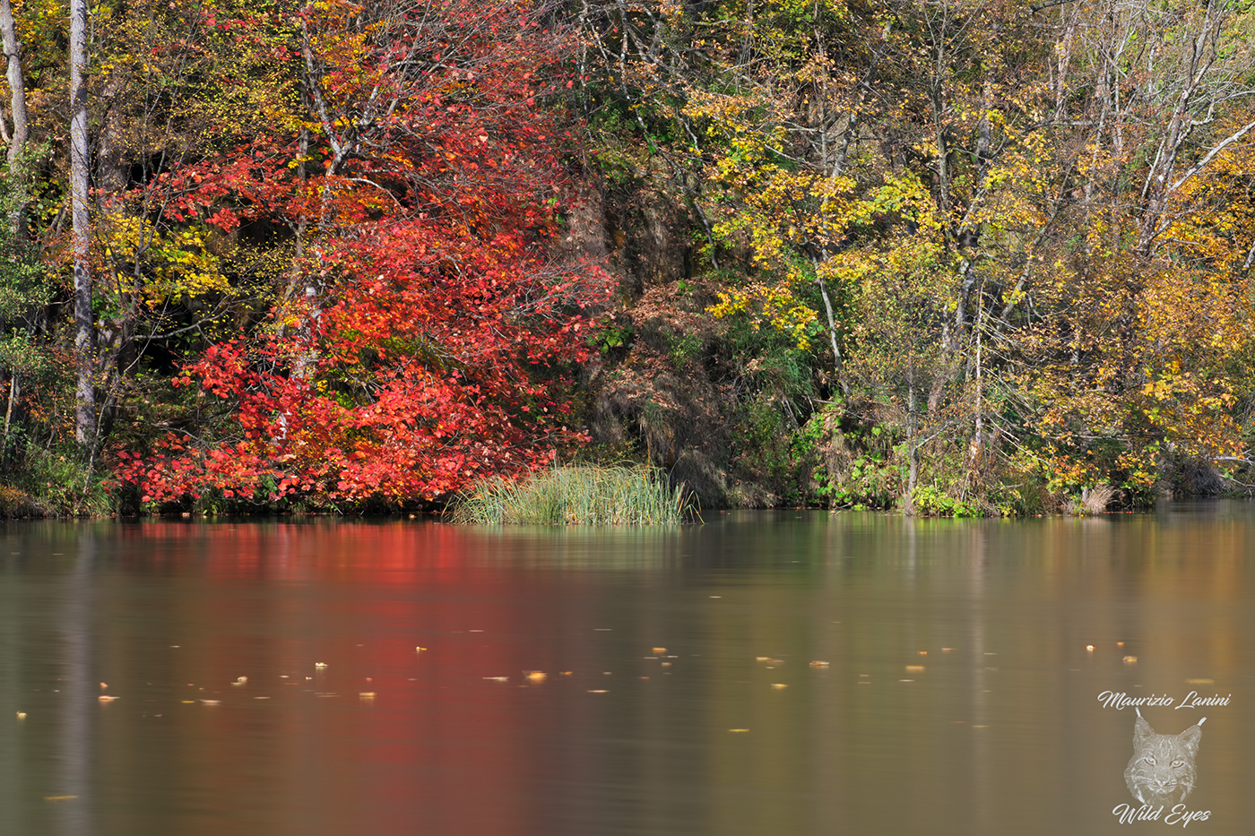 Plitvice Lakes National Park