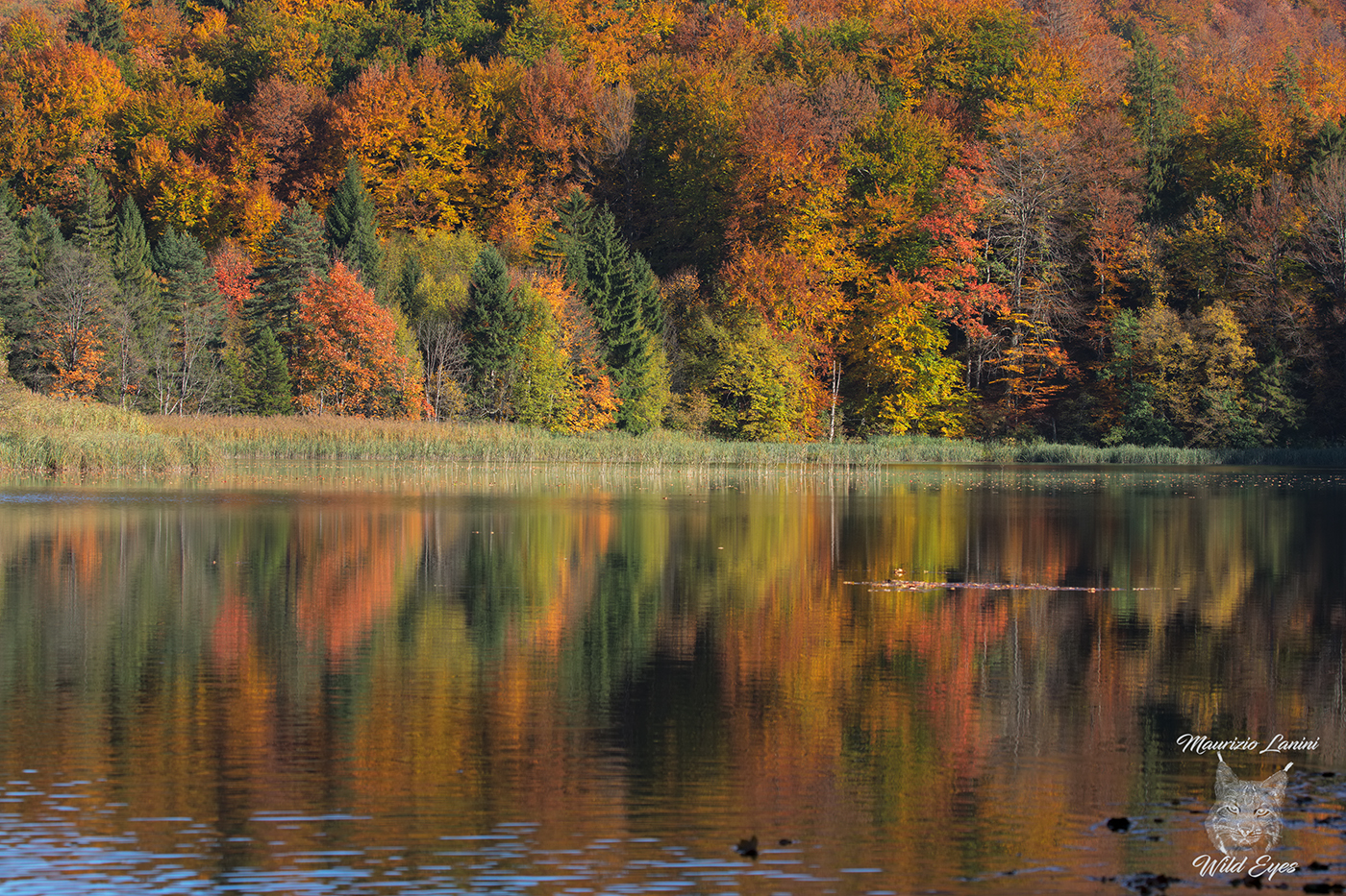 Plitvice Lakes National Park