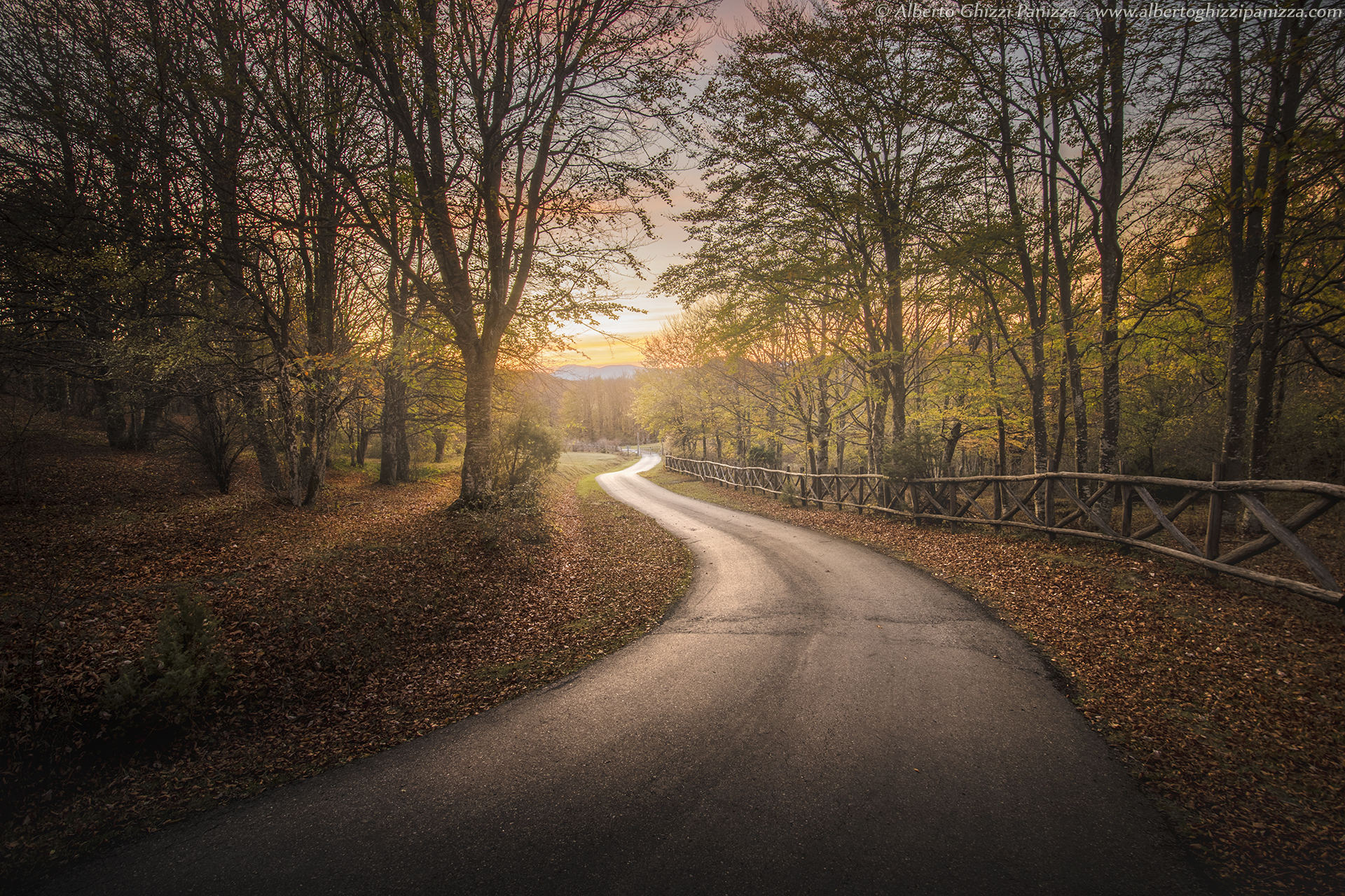 A road in the colors of autumn