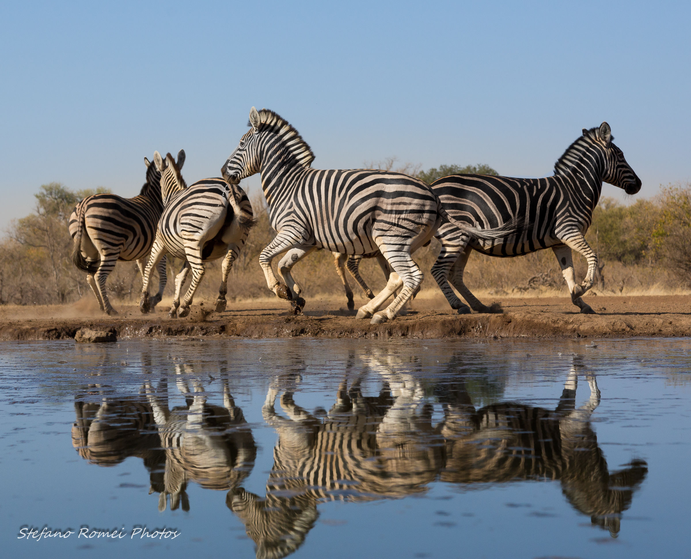 il riflesso della paura