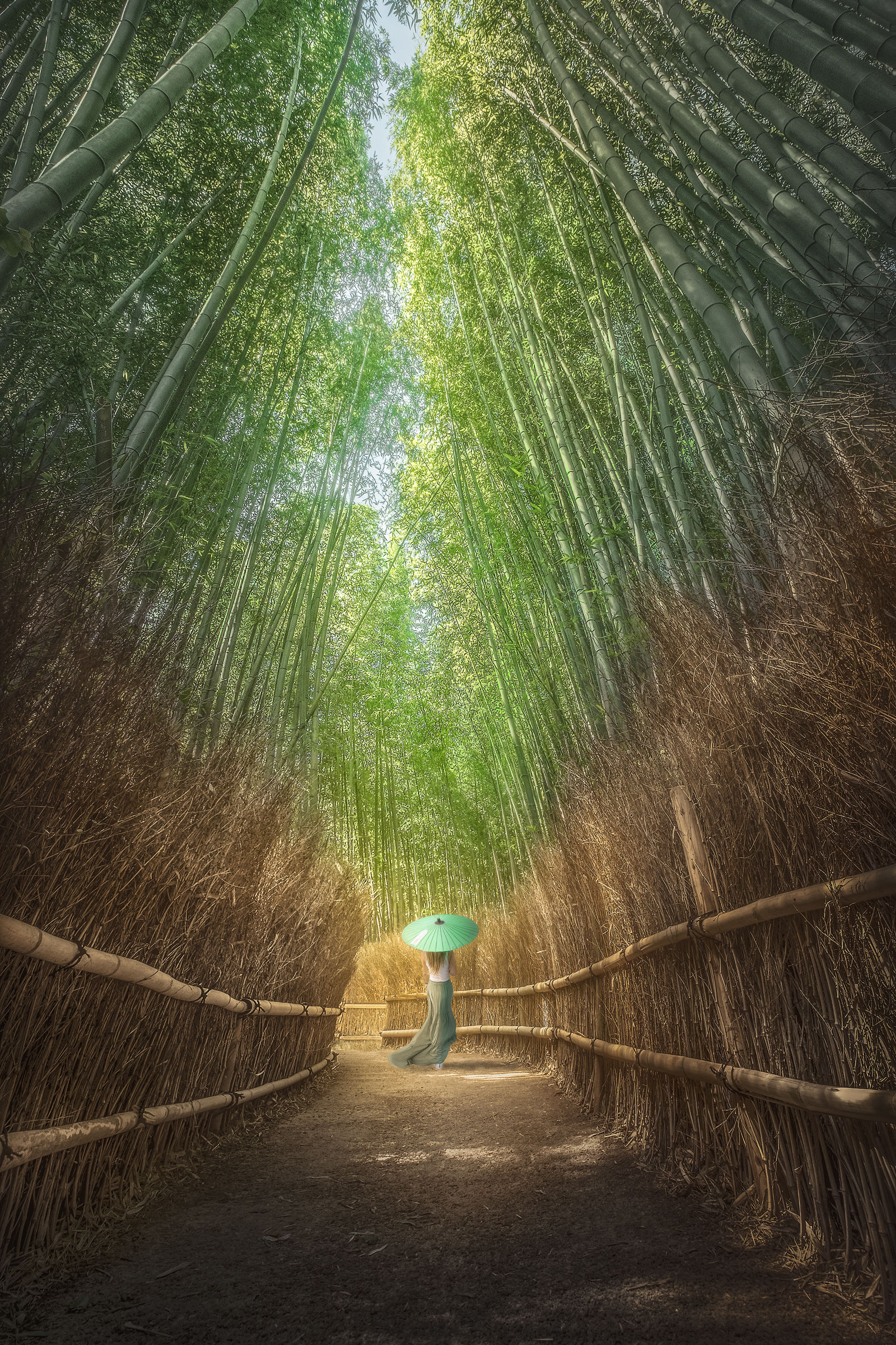 Nella terra di Miyazaki.