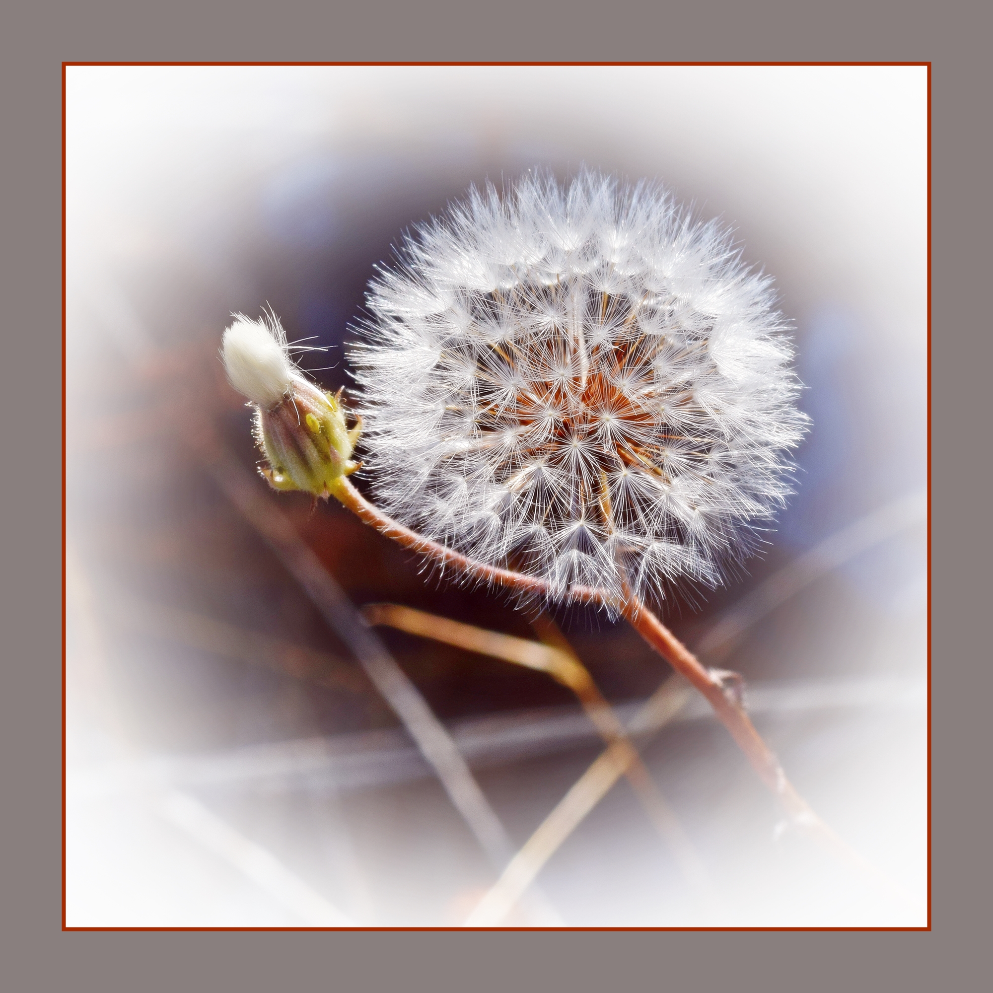 ready for the first breath of wind