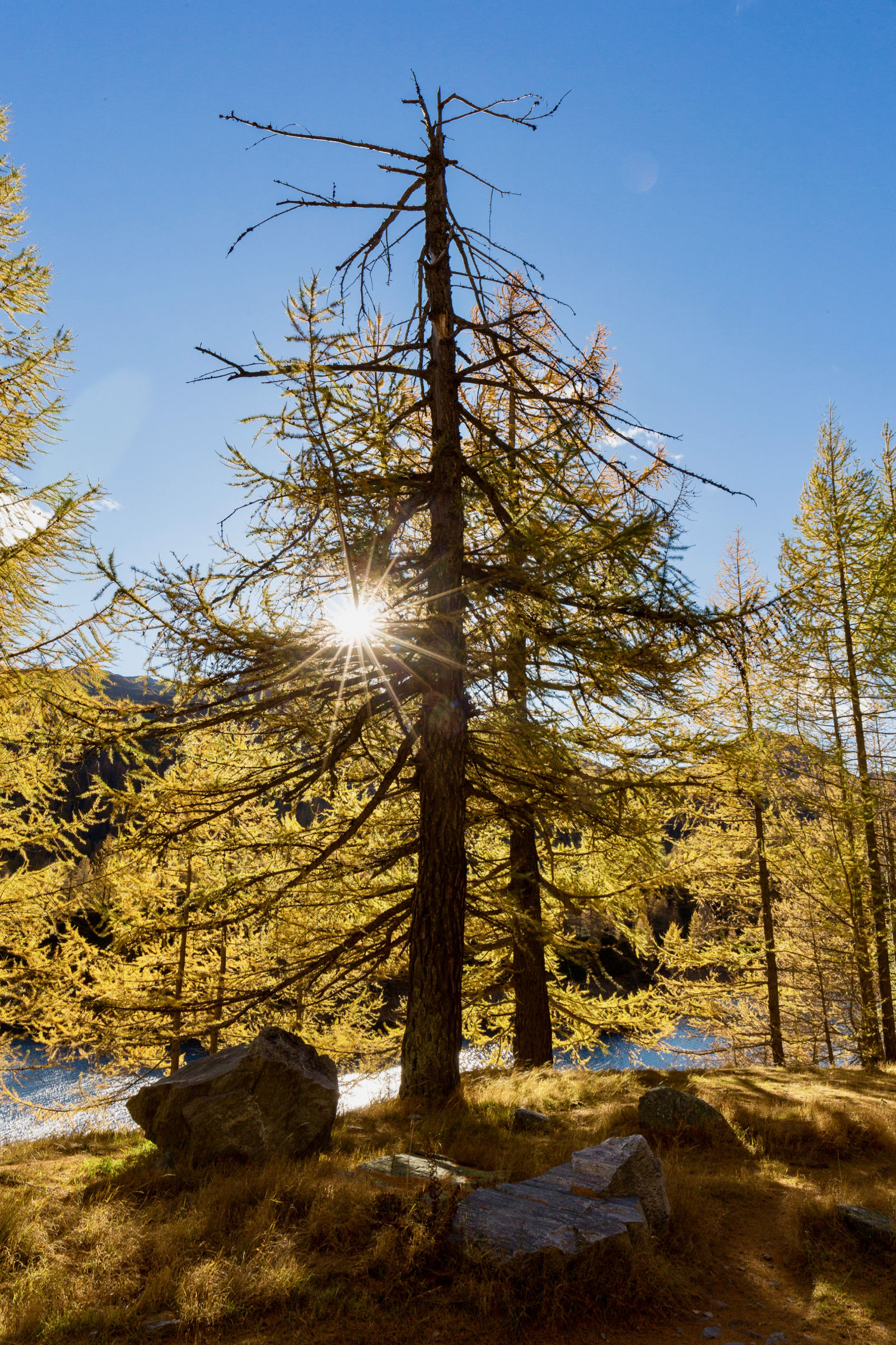Il vecchio che non molla