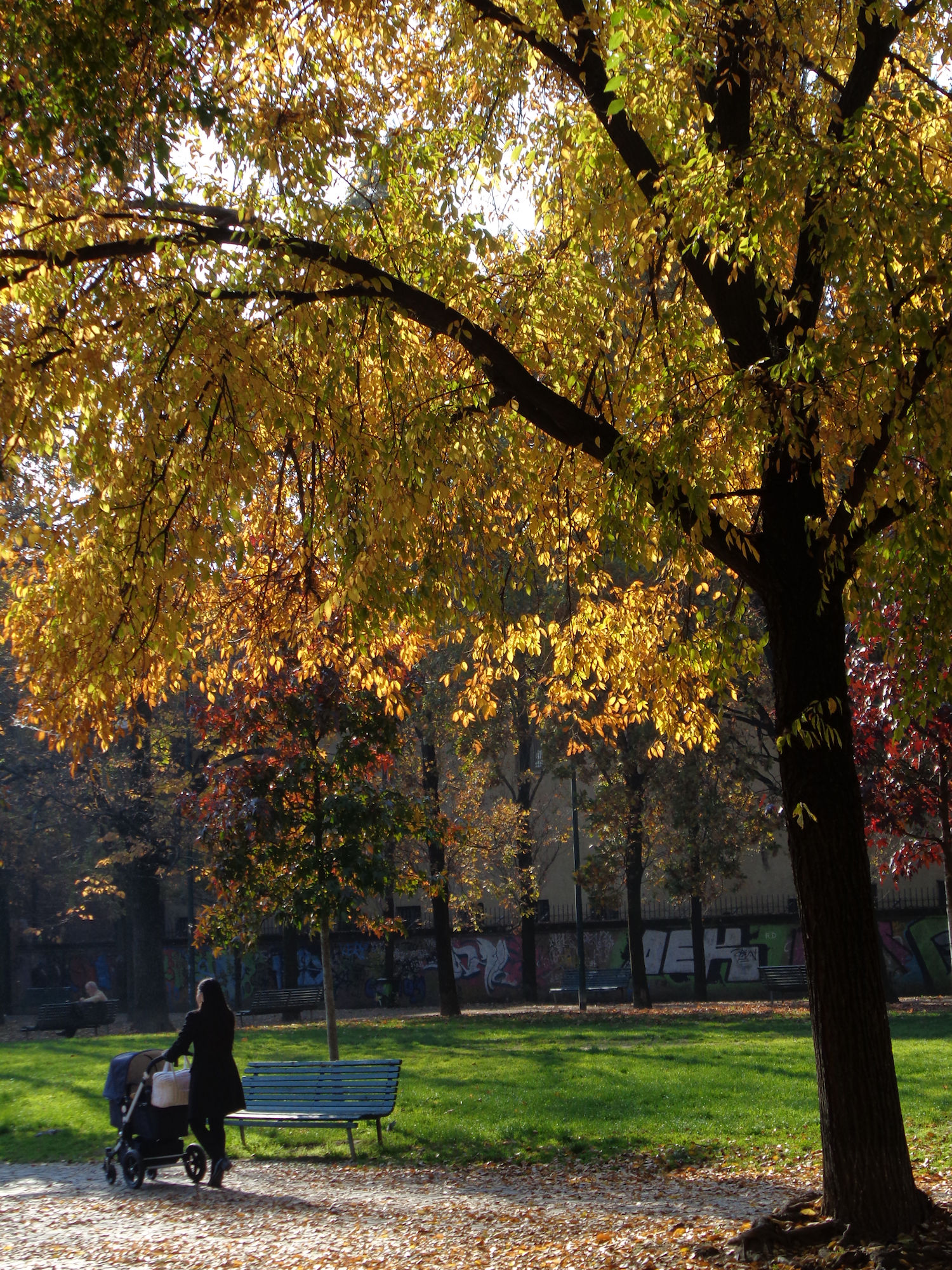 Gardens of Glass Square