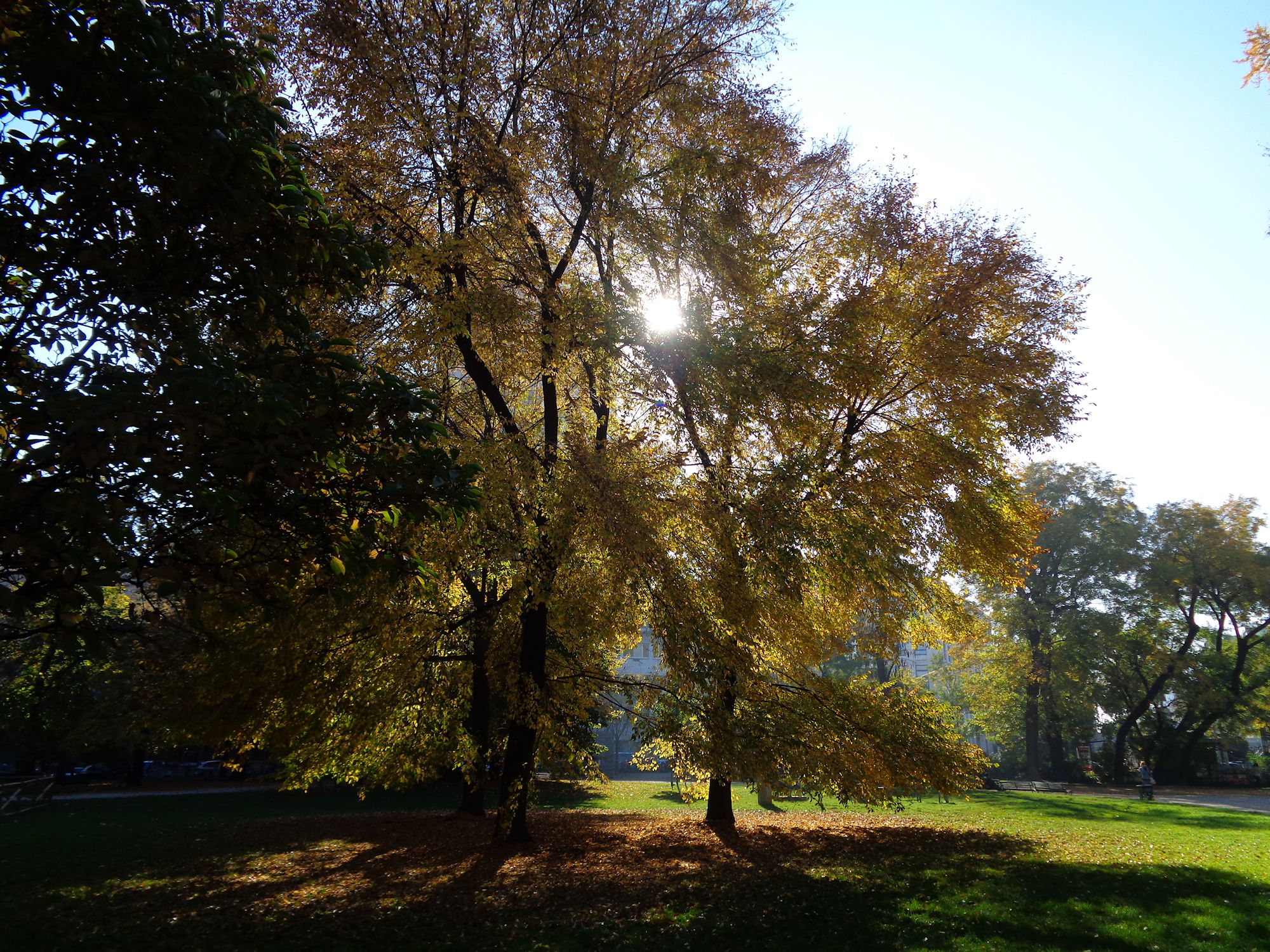 Gardens of Porta Venezia