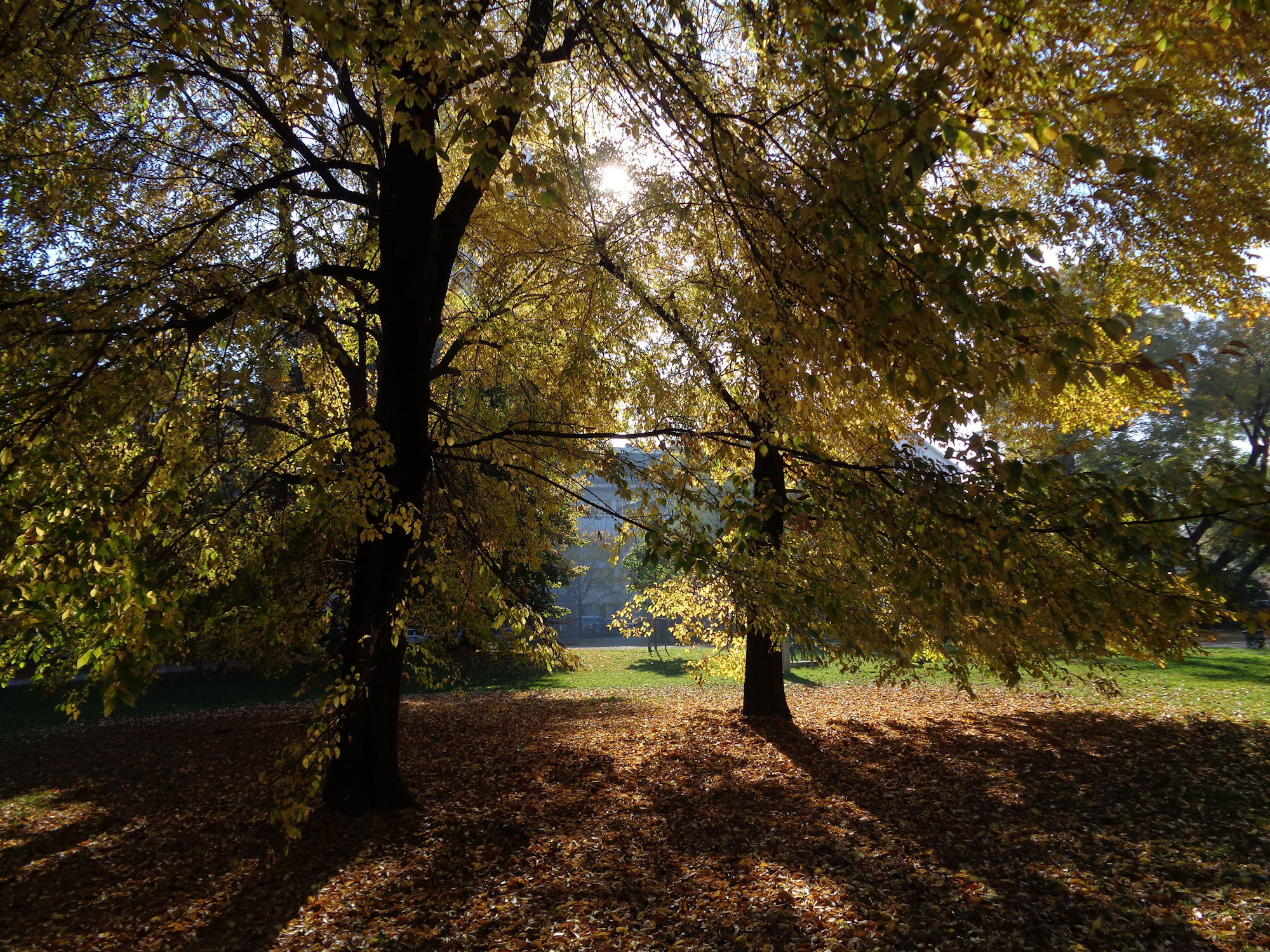 Gardens of Porta Venezia