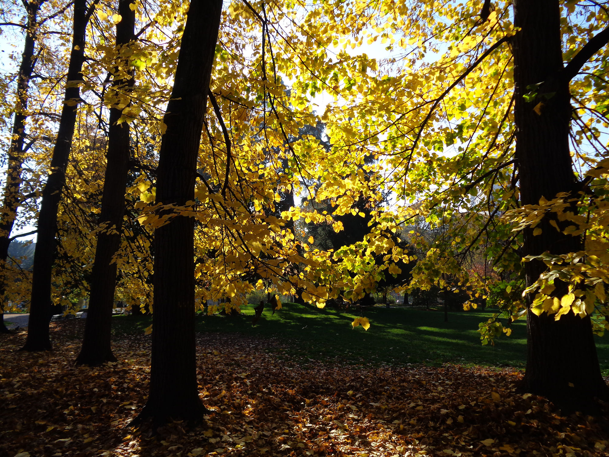 Gardens of Porta Venezia