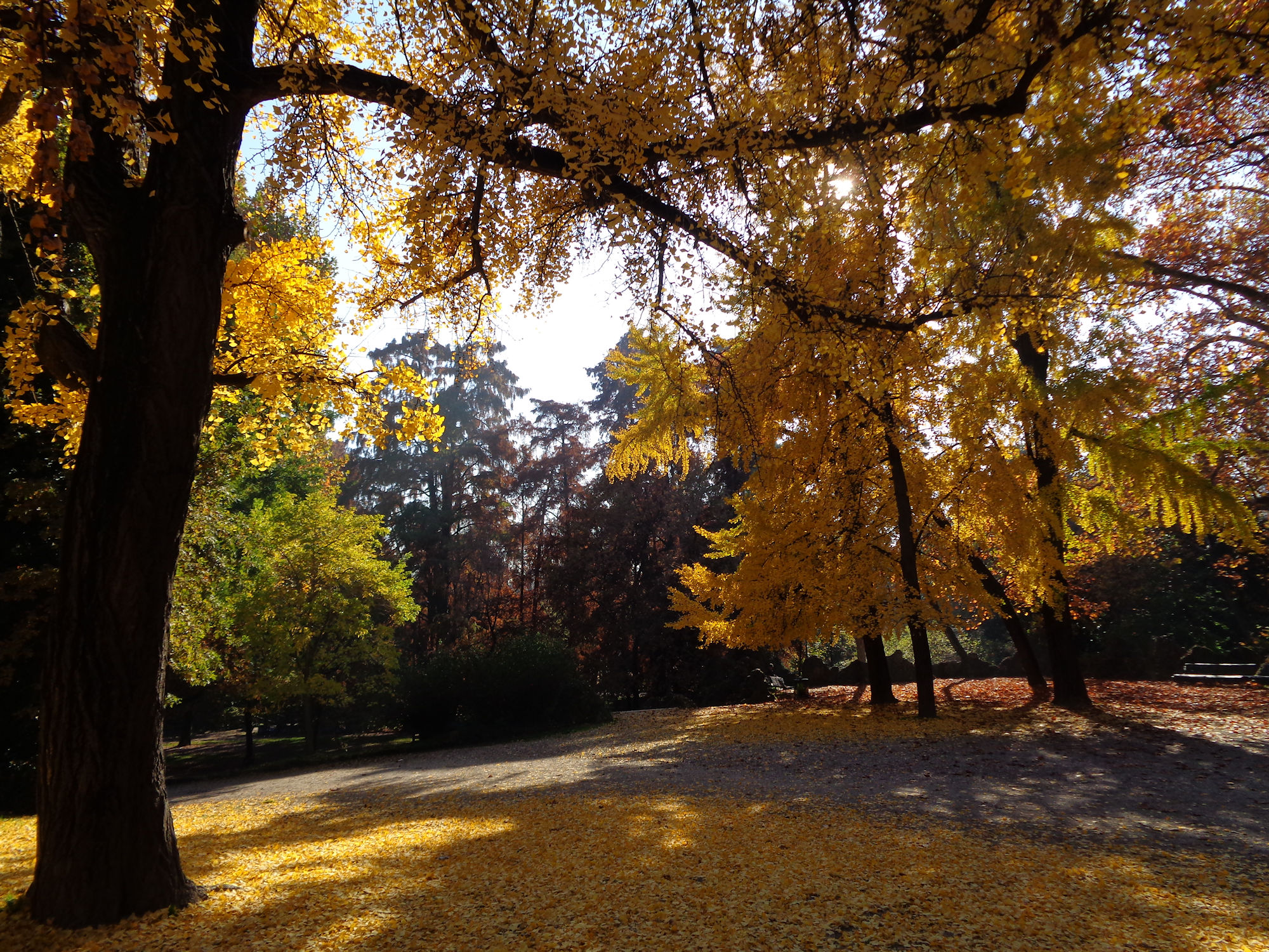 Gardens of Porta Venezia