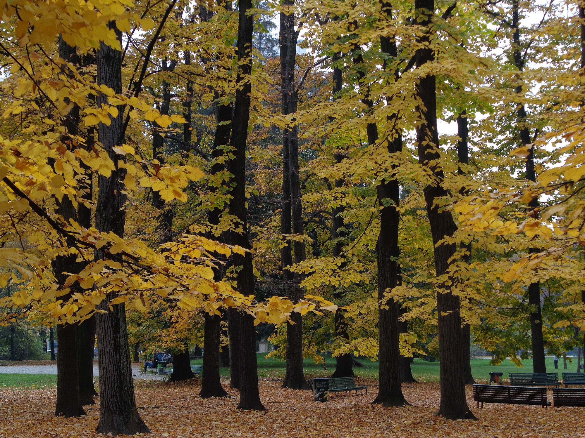 Gardens of Porta Venezia