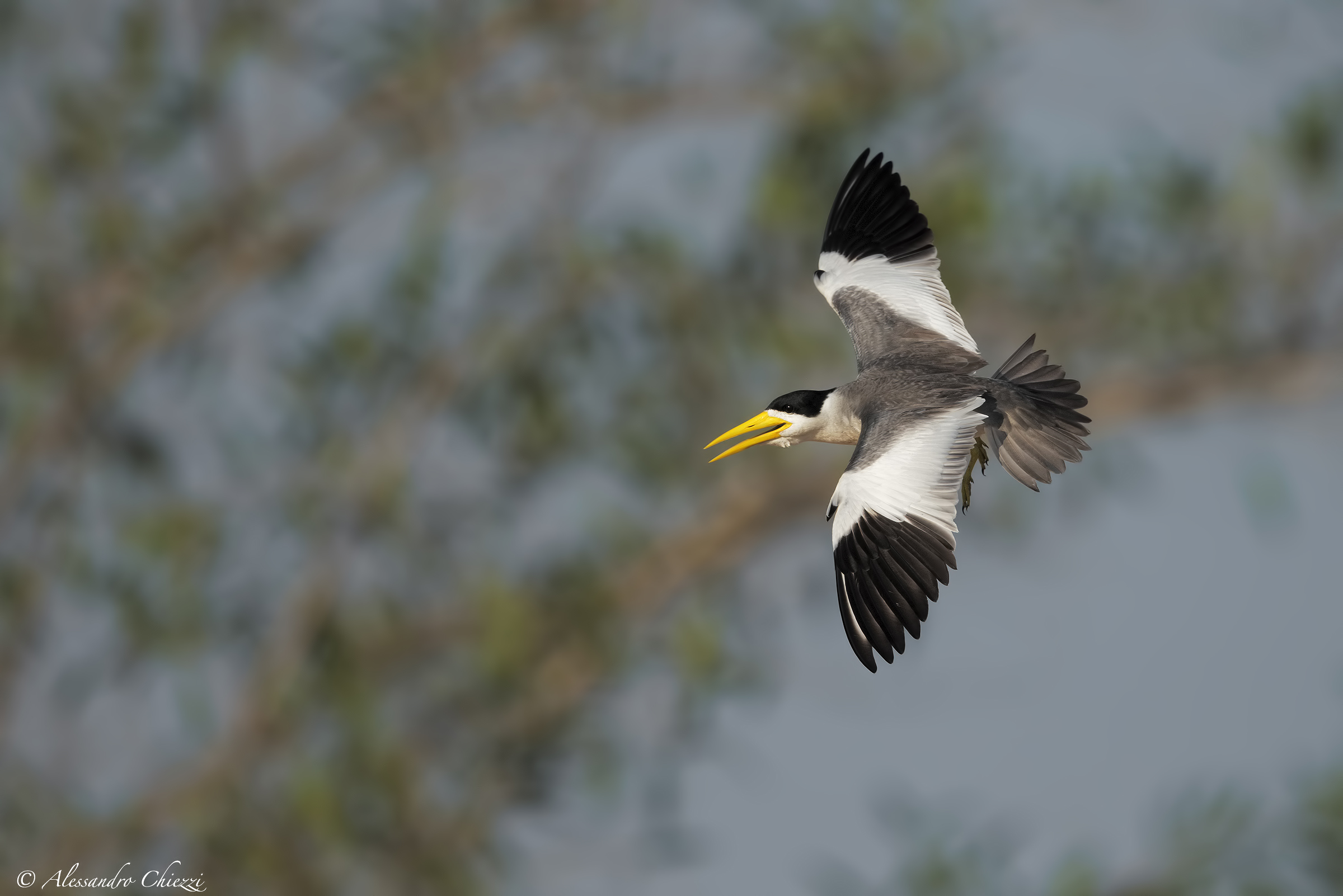 Boating in flight