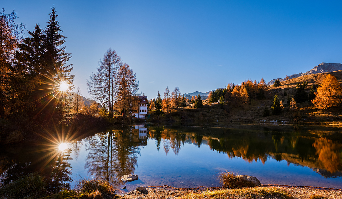 The house in the woods